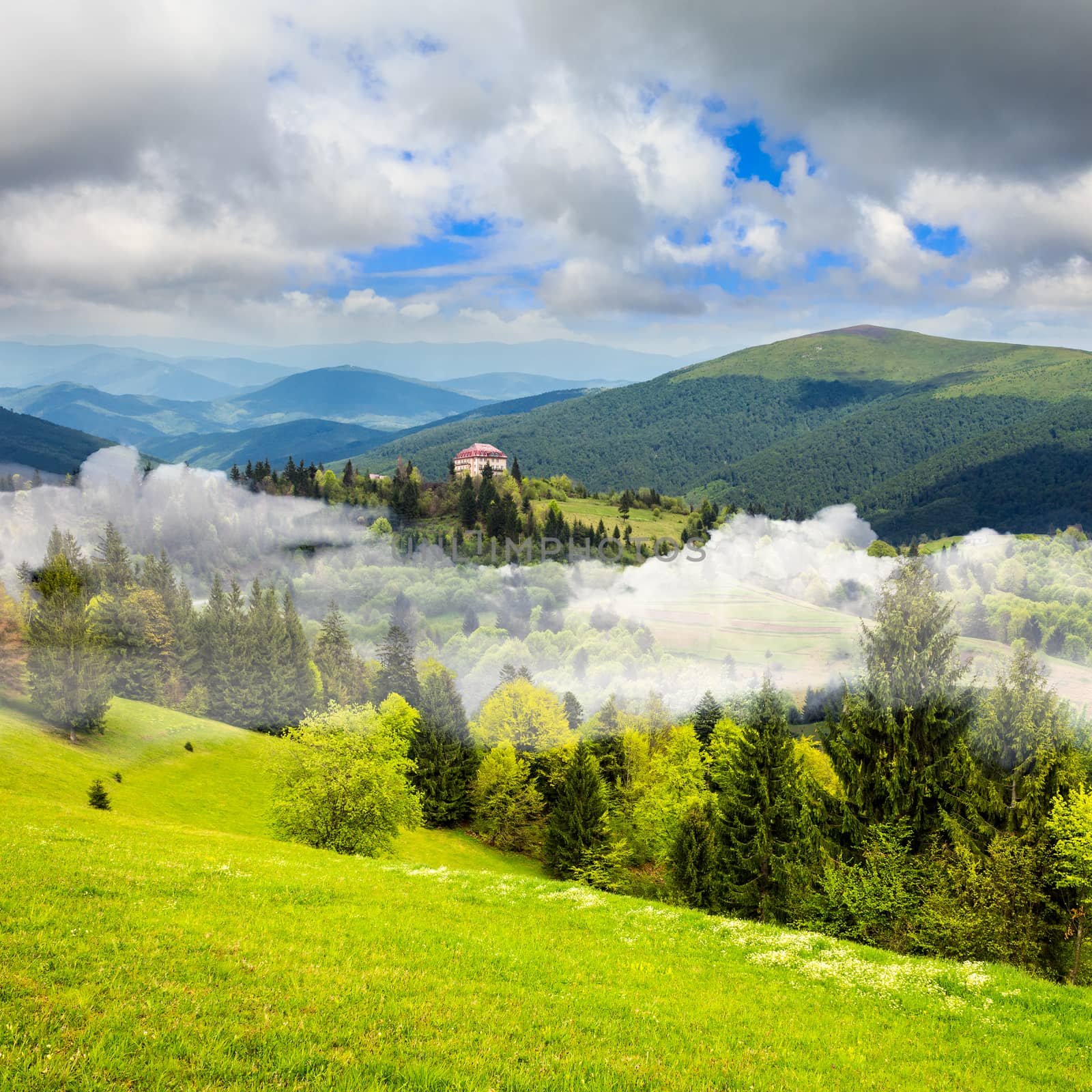 summer landscape. village on the mountain hillside with  forest in fog