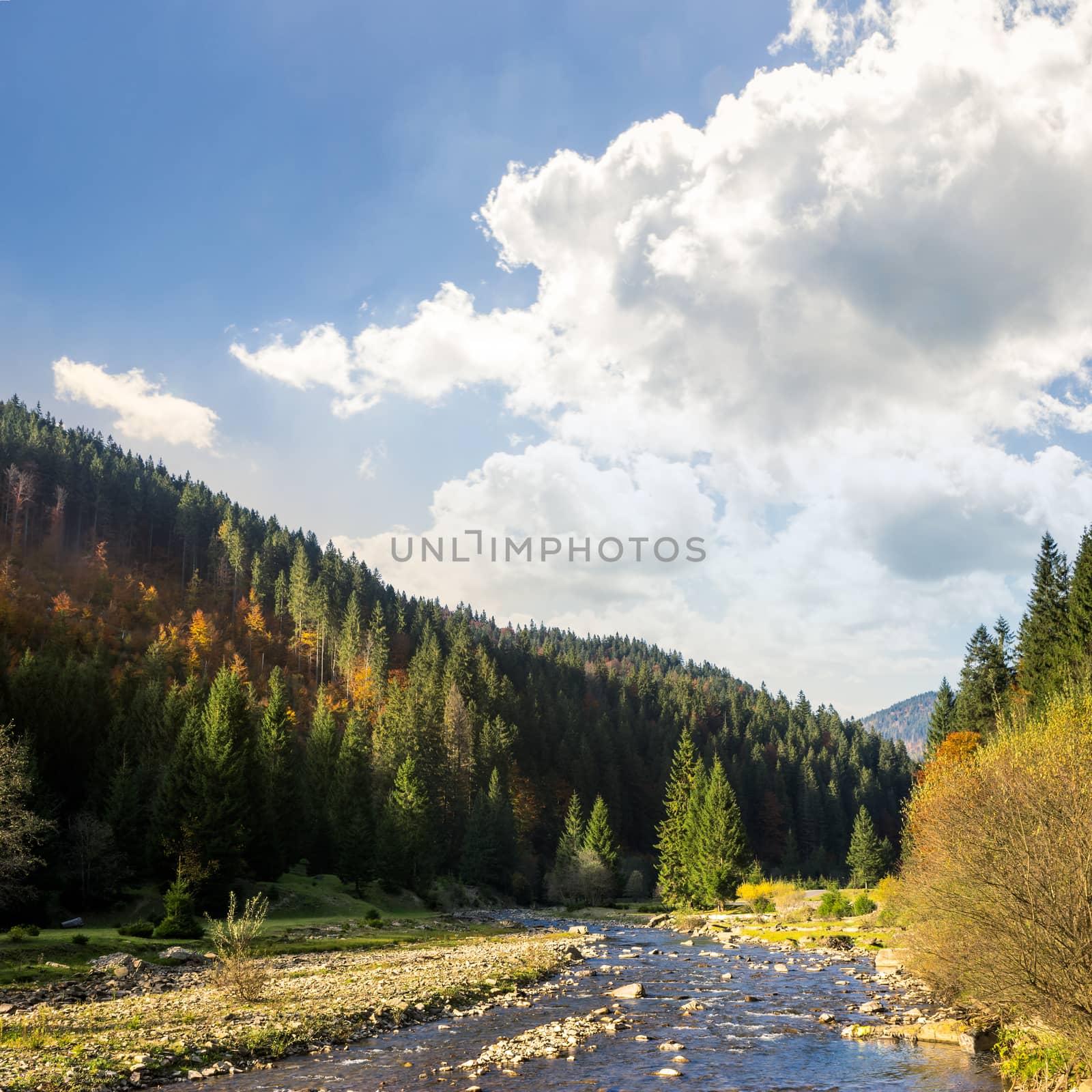 forest river in mountains with stones by Pellinni