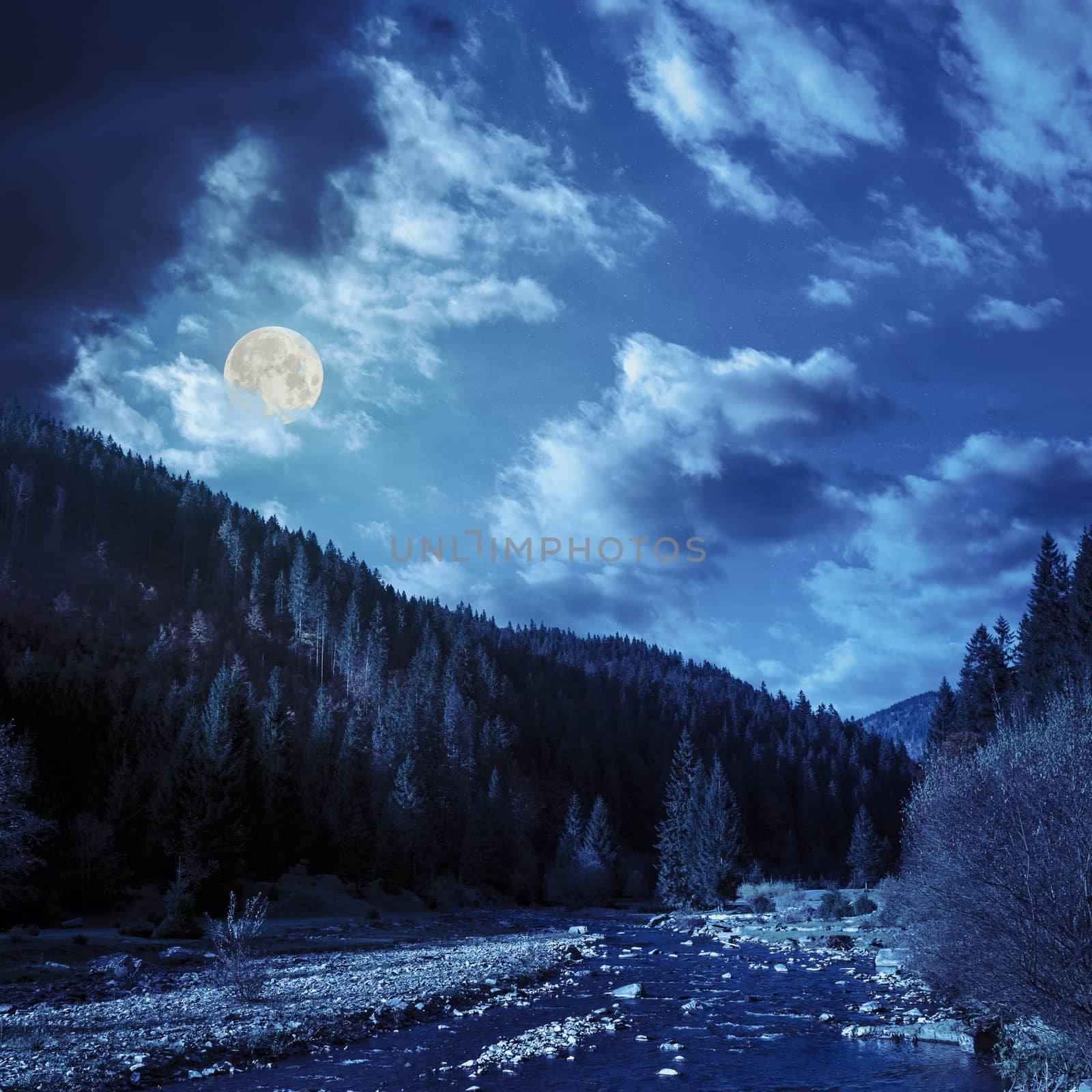 forest river in mountains with stones at night by Pellinni