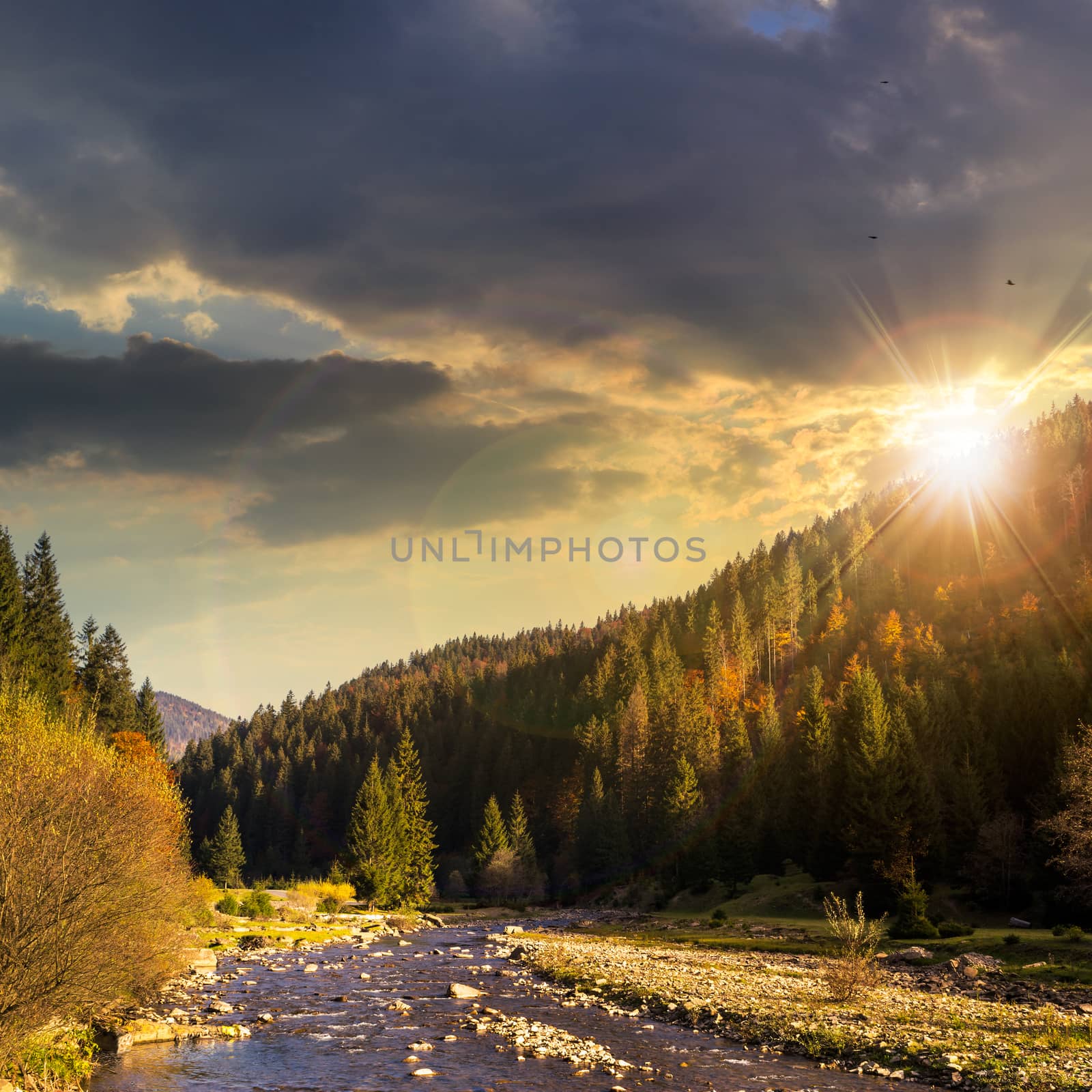 mountain river with stones in the forest near the mountain slope at sunset