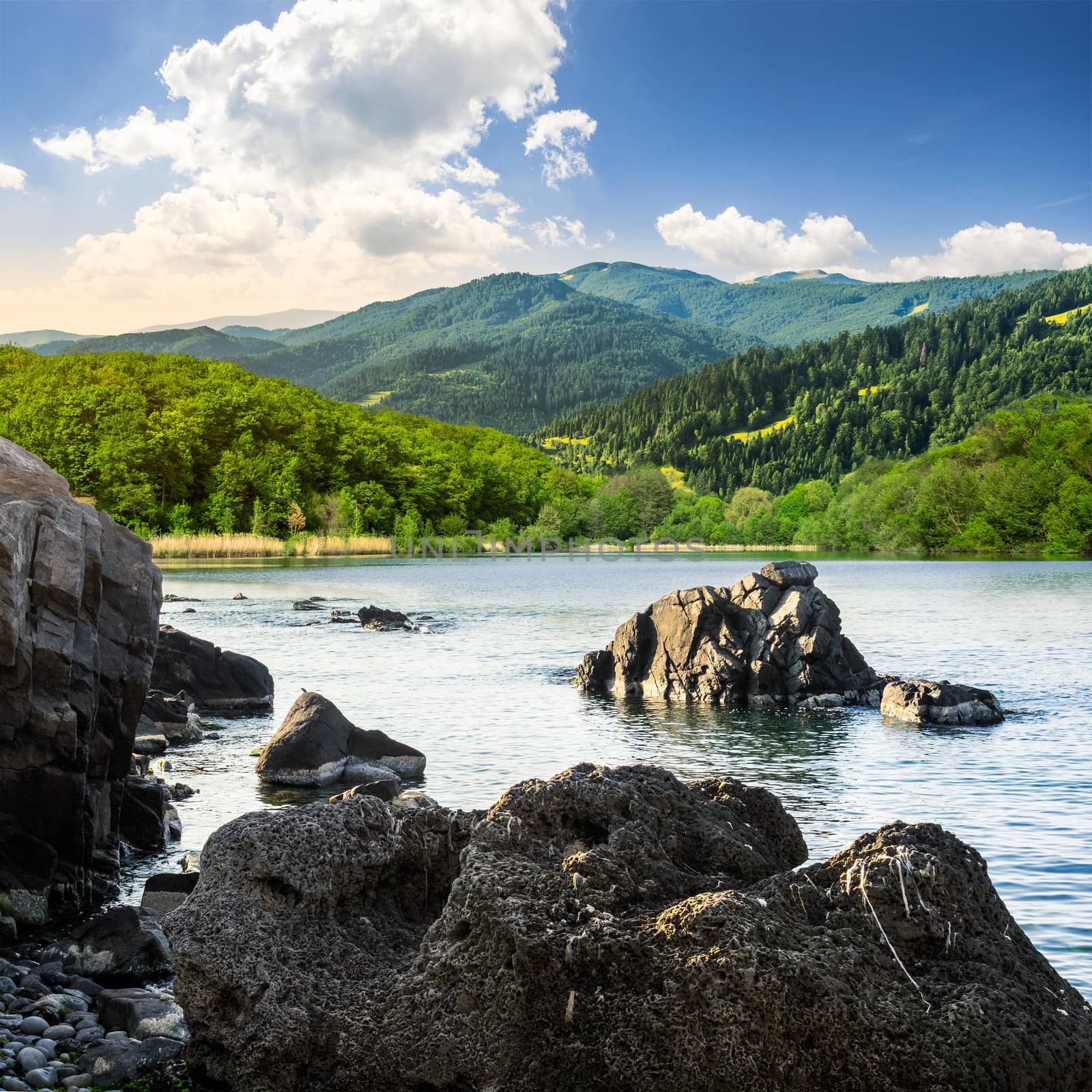 lake shore with stones near forest on mountain by Pellinni