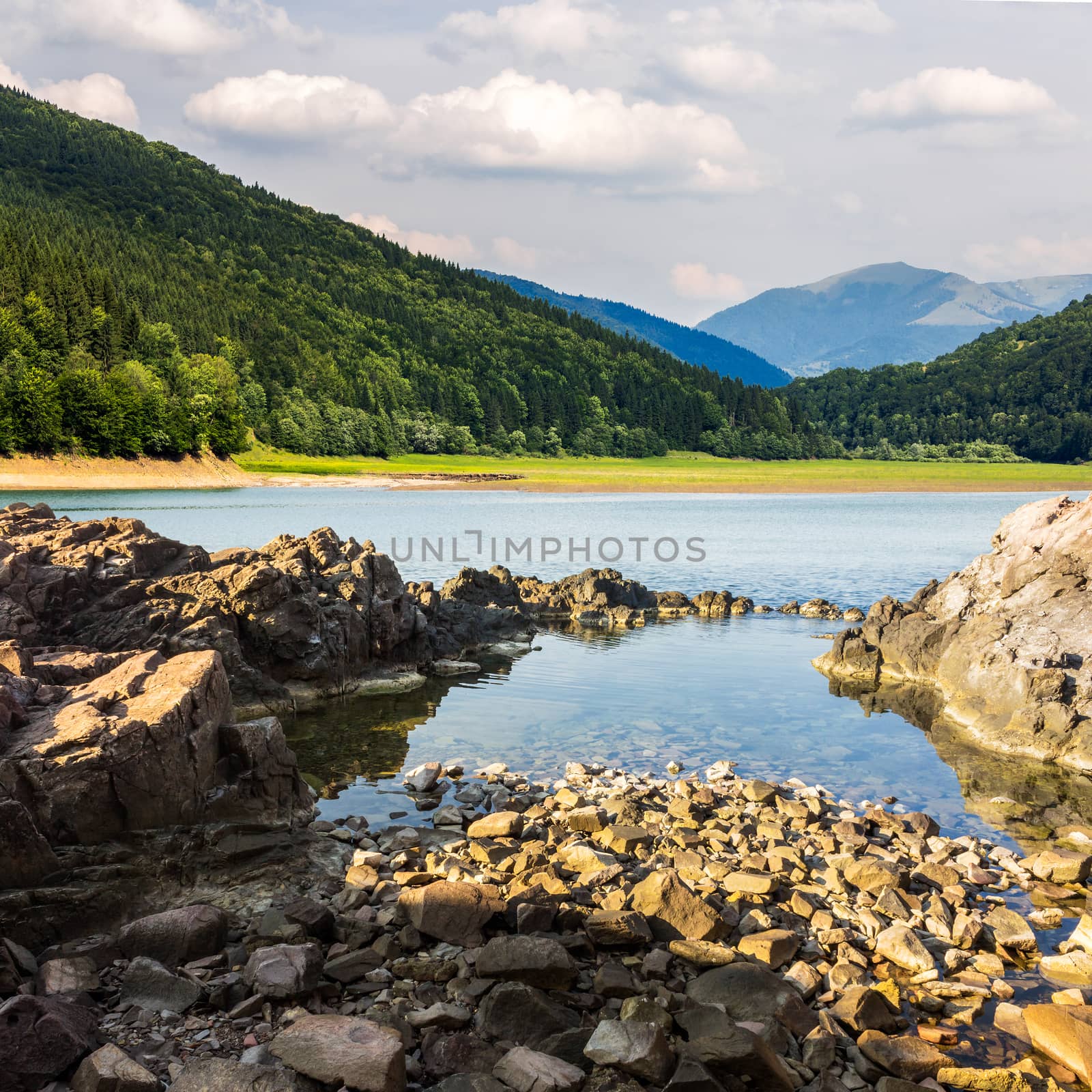 lake shore with stones near pine forest on mountain by Pellinni