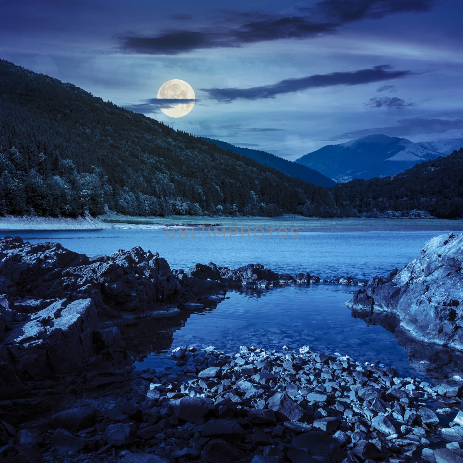 view on lake with rocky shore and some boulders near pine forest on mountain  with high vista far away at night in full moon light