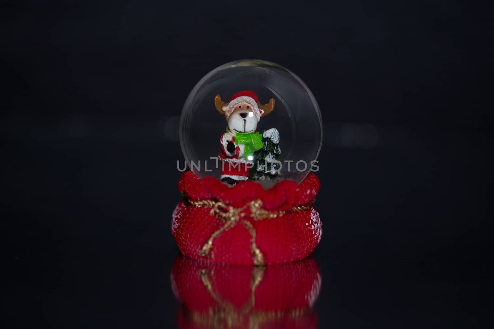 snow globe whith dog inside