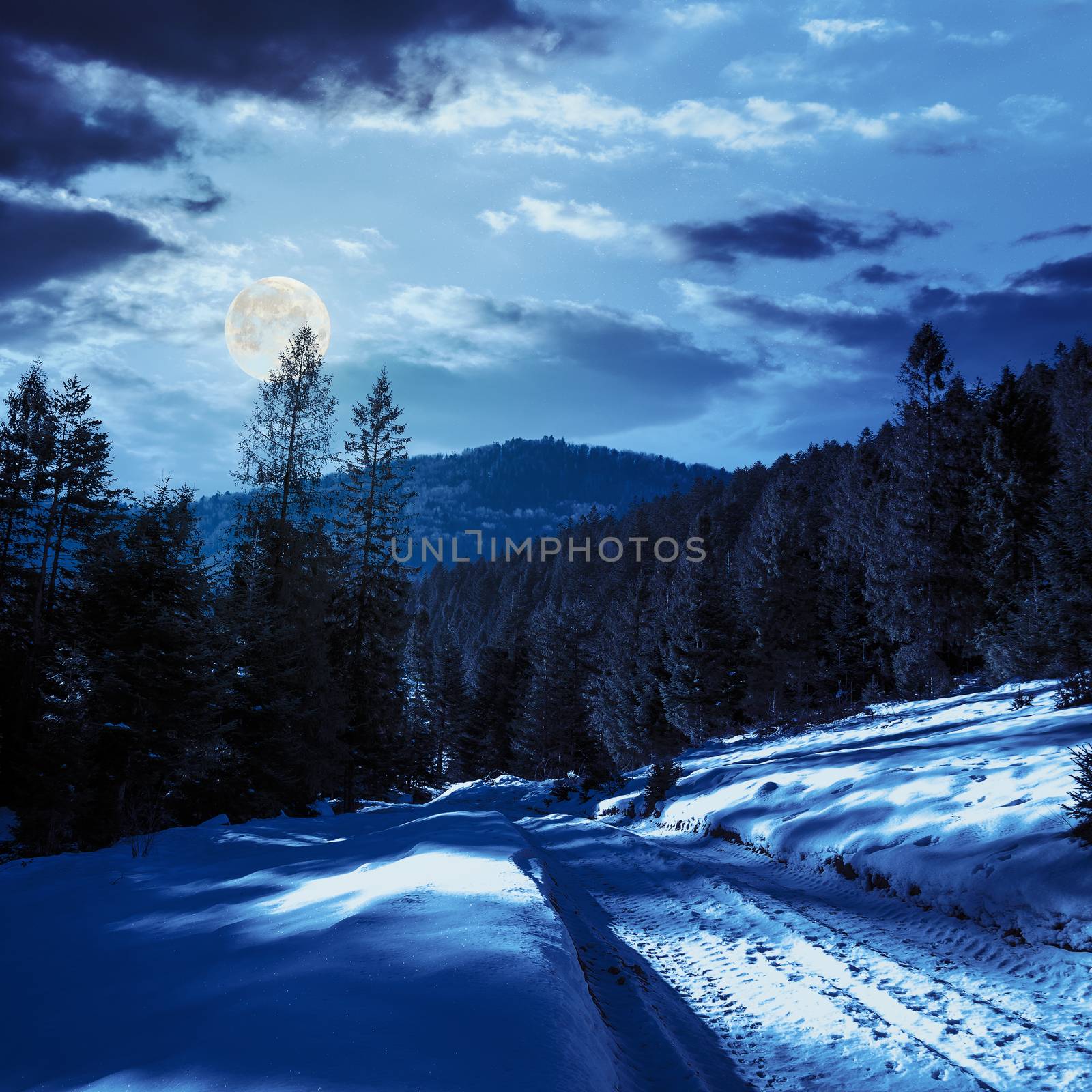 snowy road to coniferous forest in mountains at night by Pellinni