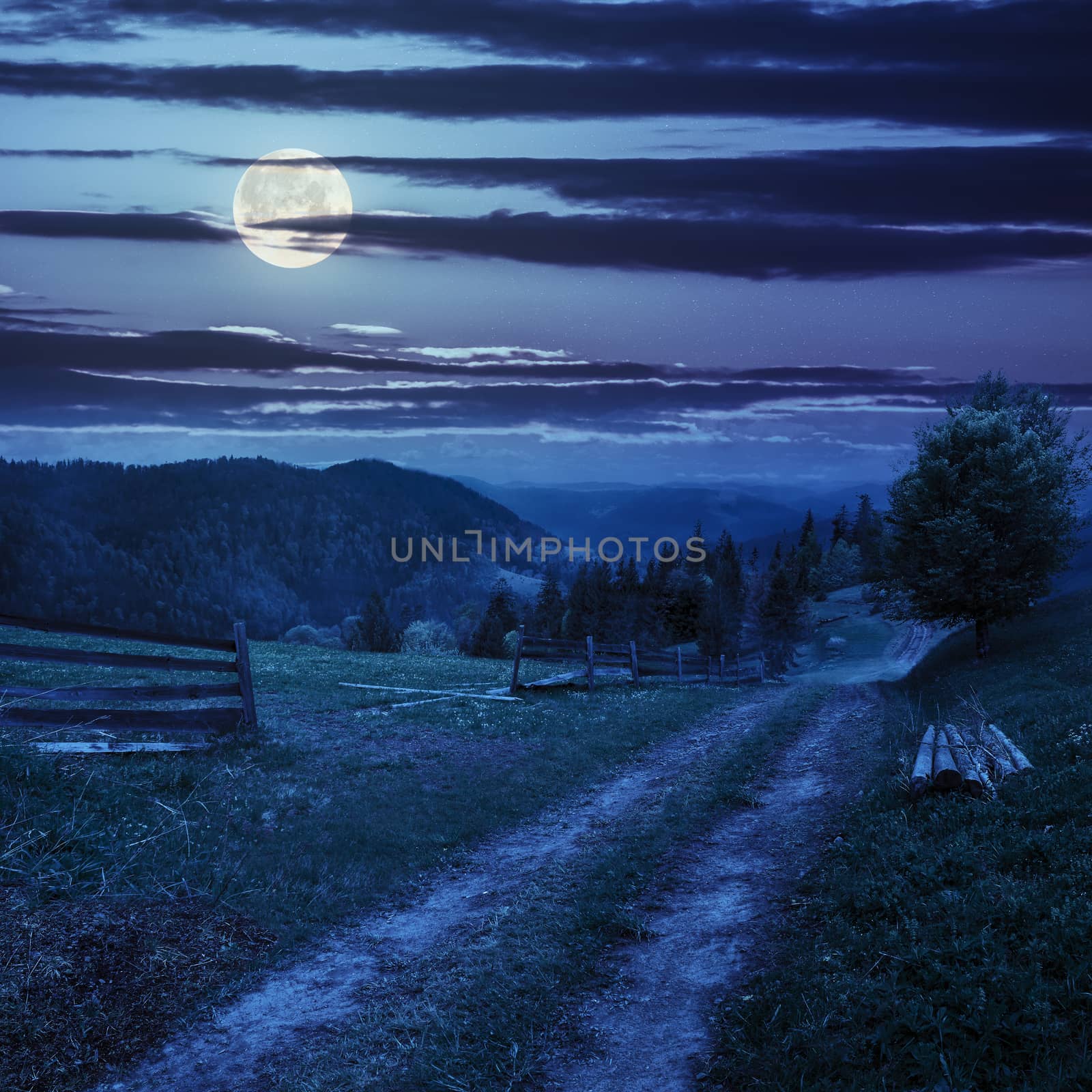 tree on hillside path through  meadow in foggy mountain at night by Pellinni