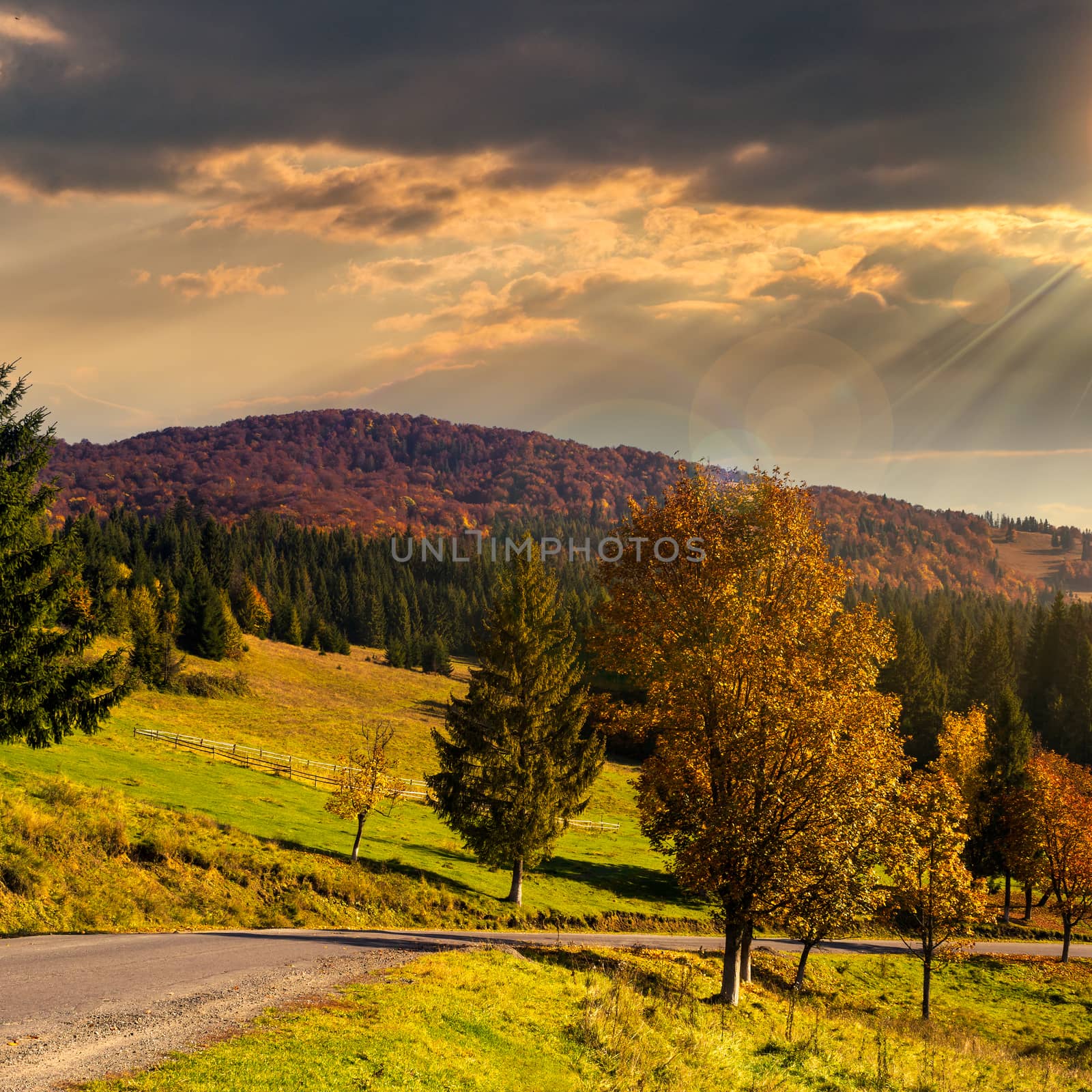 road going to mountains at sunset by Pellinni