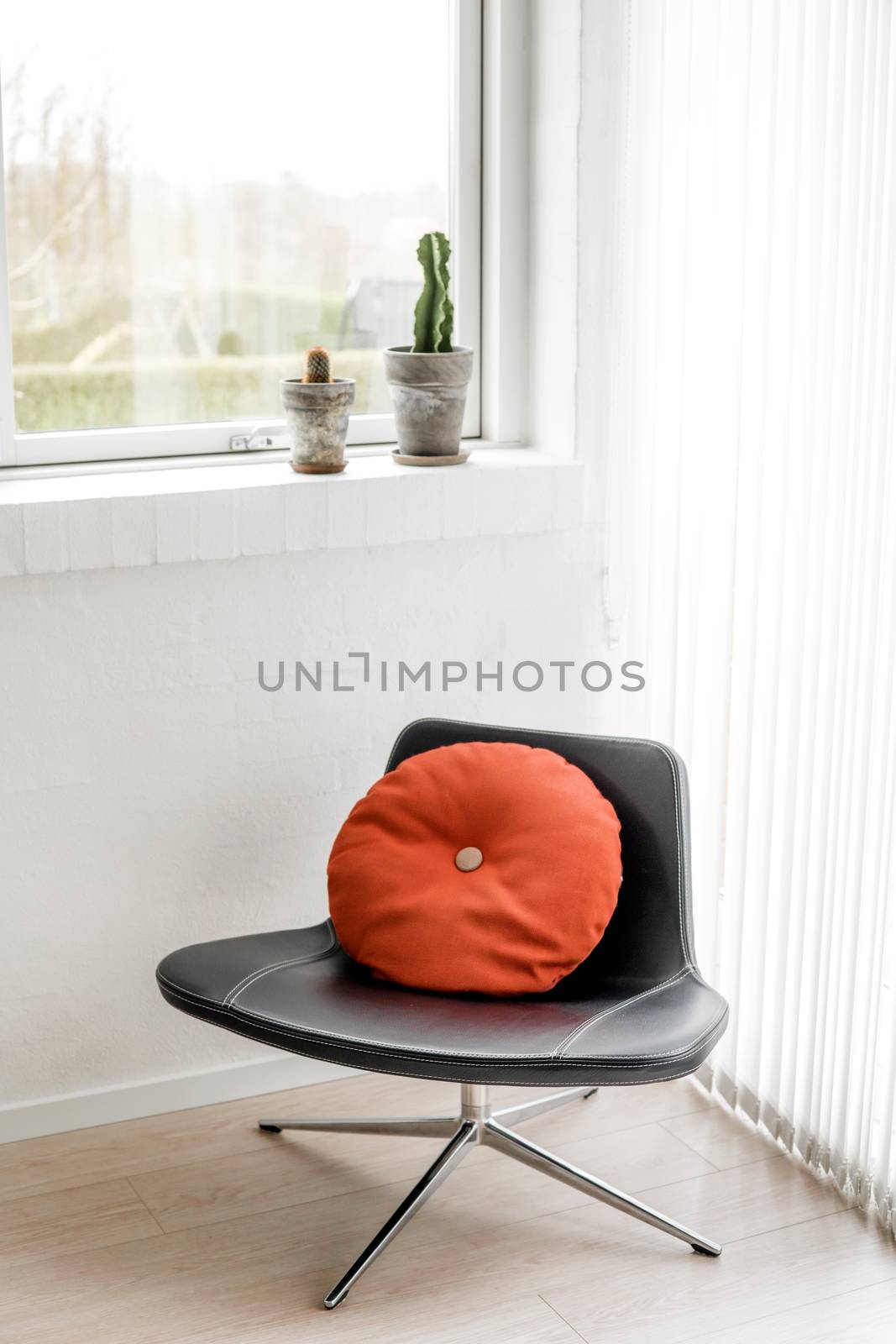 Black chair in a bright living room with a round orange pillow in retro design and cactus plants in the window