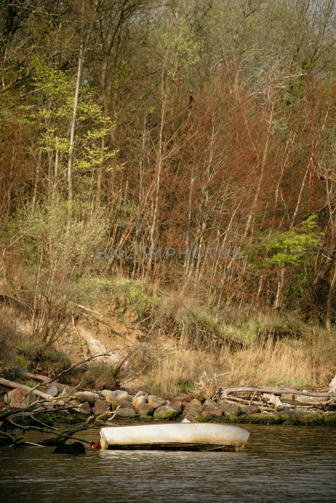 Stranded boat by a lake shore near a forest in the fall