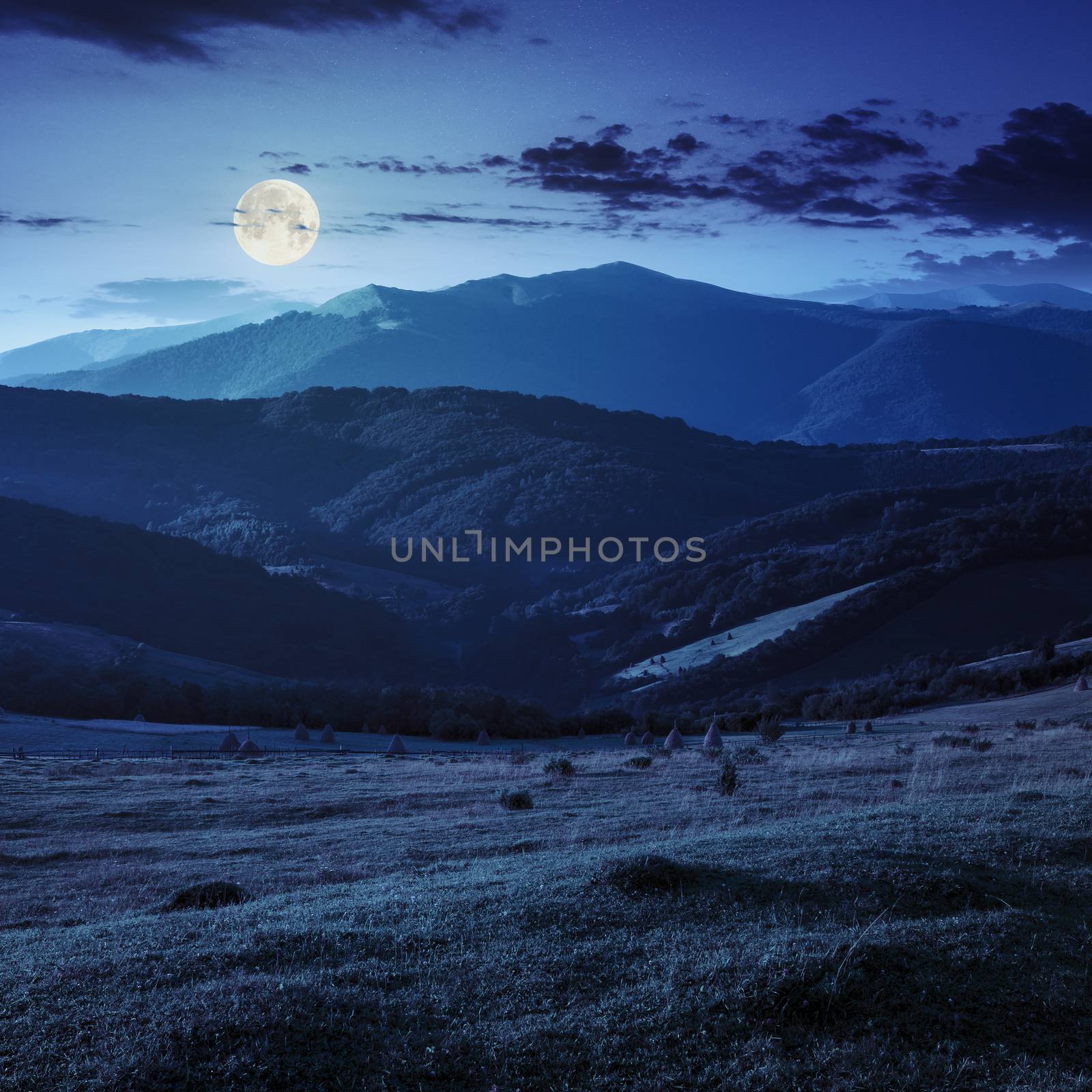 Stacks of hay on a green meadow on hillside  in mountains at night in full moon light
