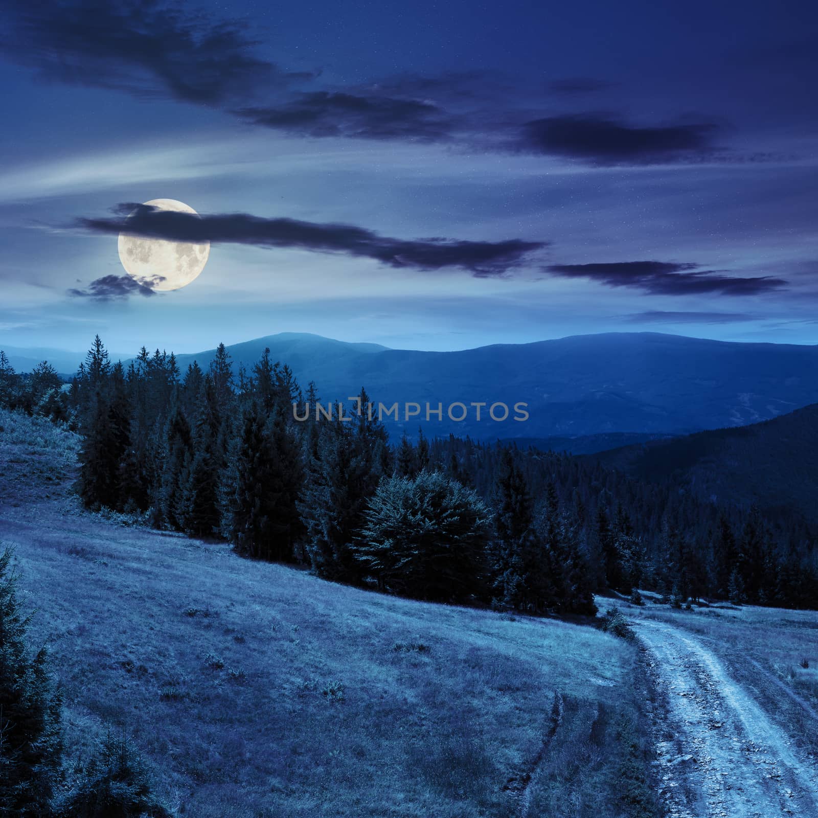 pine trees near the path through meadow  on the hillside. forest in haze on the far mountain at night in full moon light
