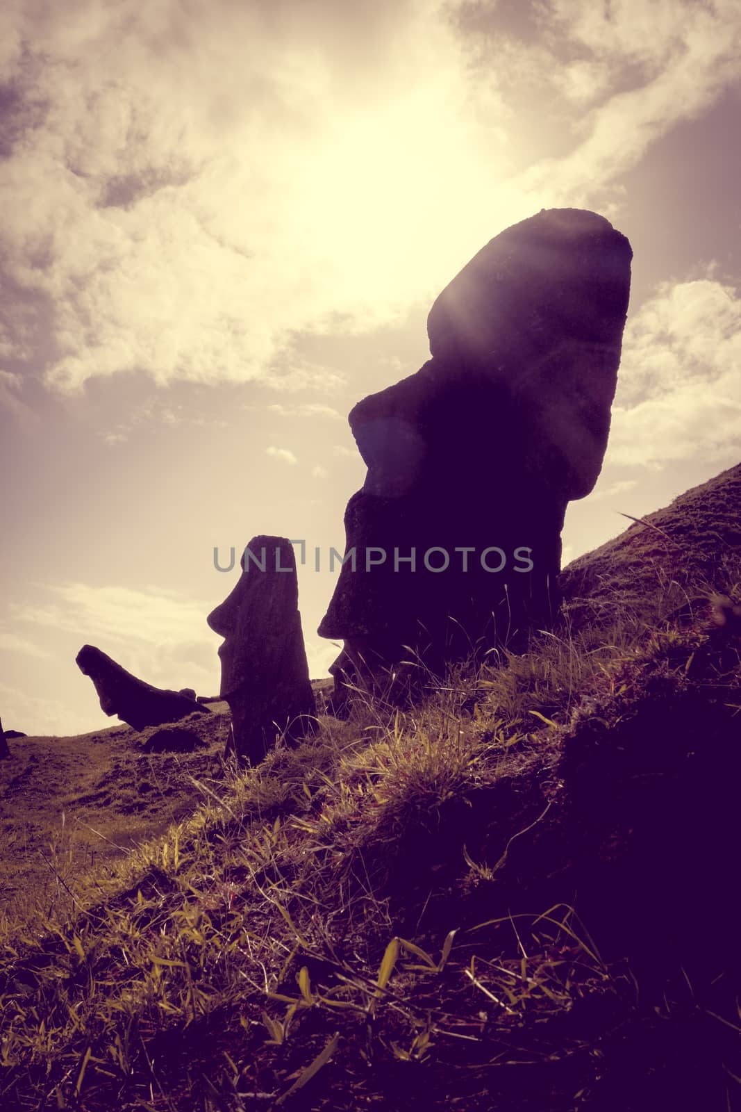 Moais statues on Rano Raraku volcano, easter island by daboost