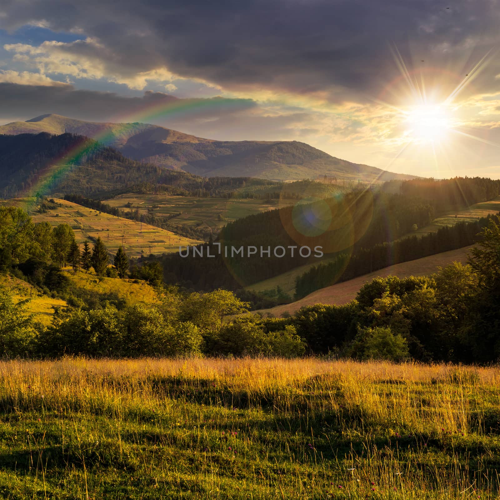 meadow on hillside near forest in mountains at sunset with rainbow