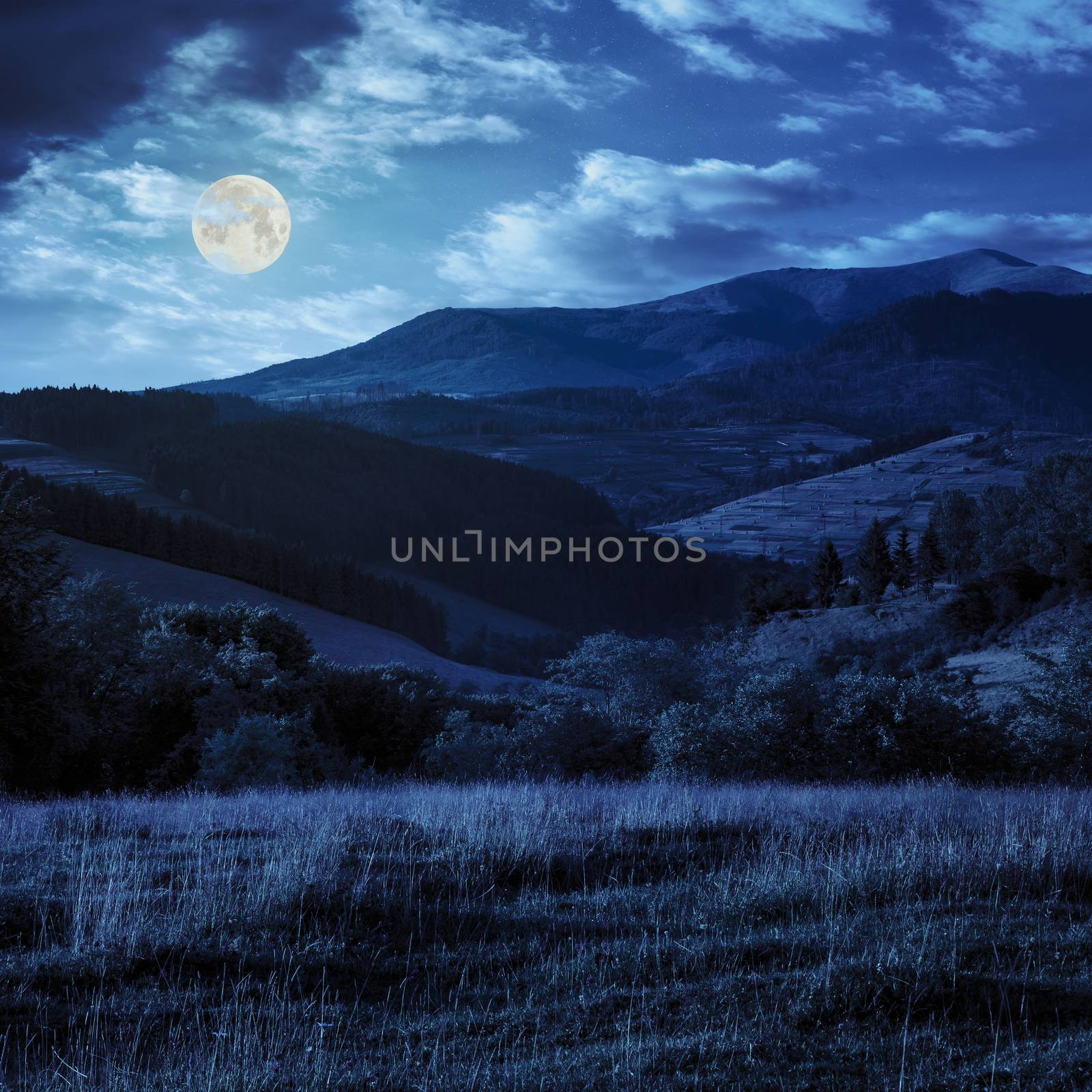 meadow on hillside near forest in mountains at night in full moon light