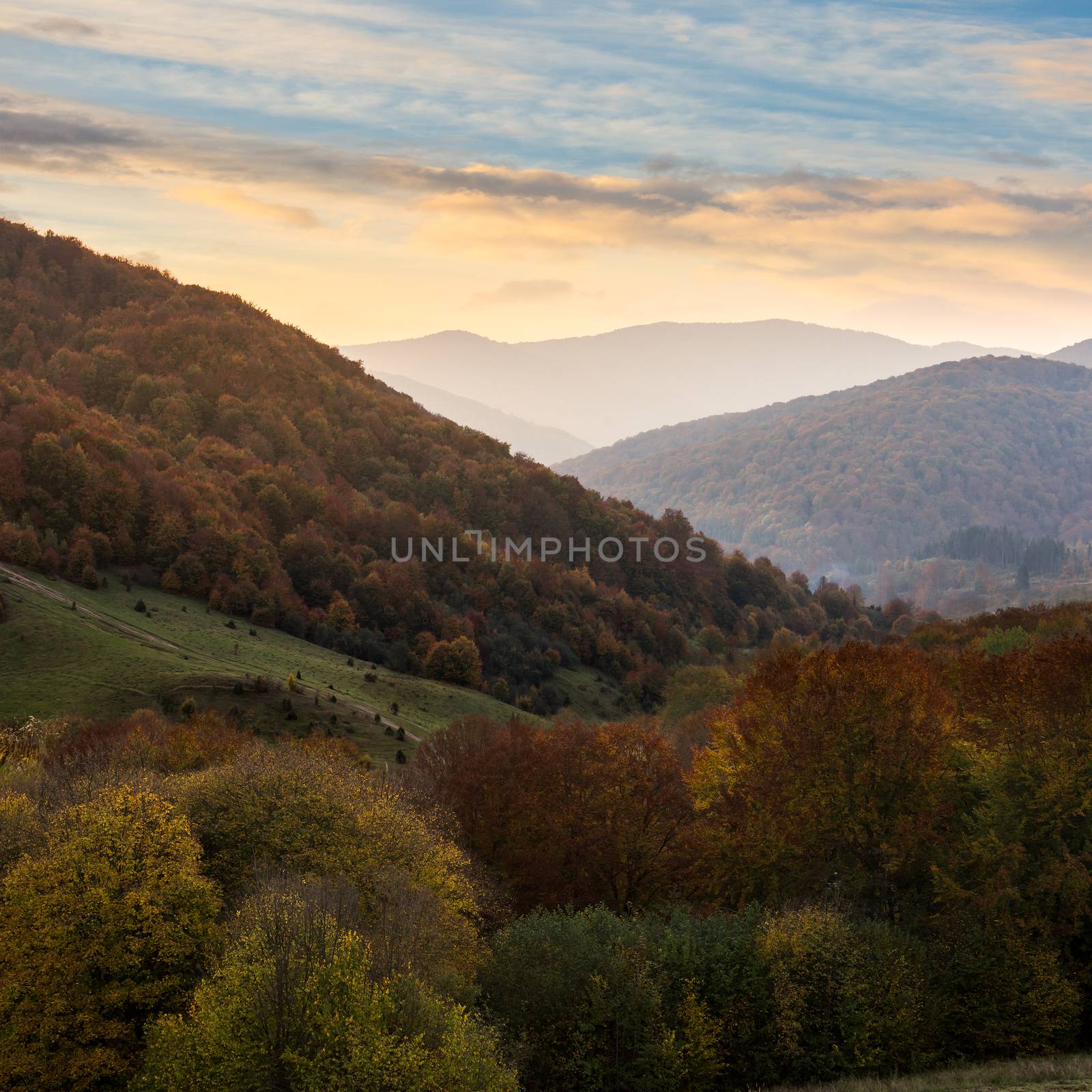 autumn forest on a  mountain slope by Pellinni