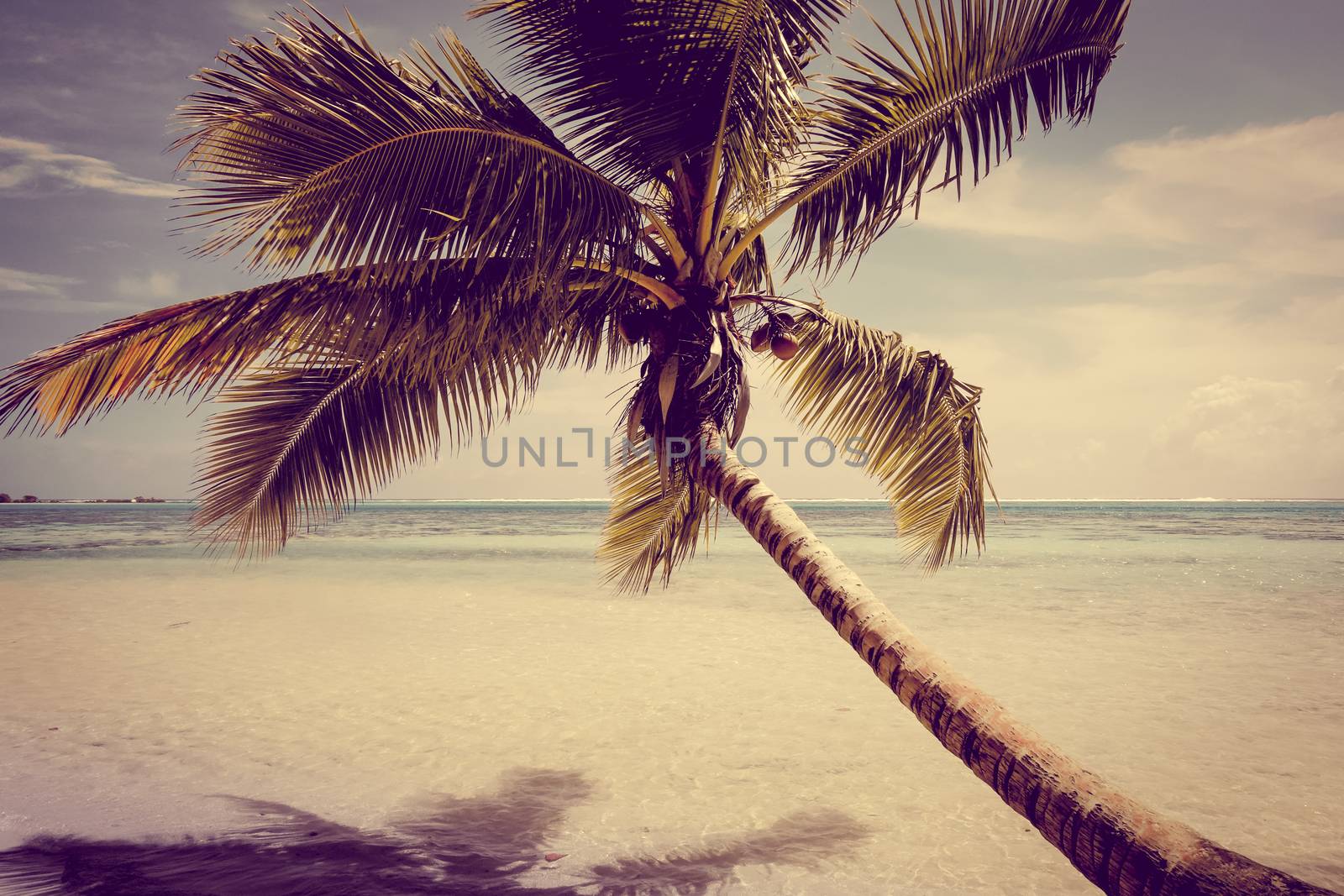 Paradise tropical beach and lagoon in Moorea Island. French Polynesia