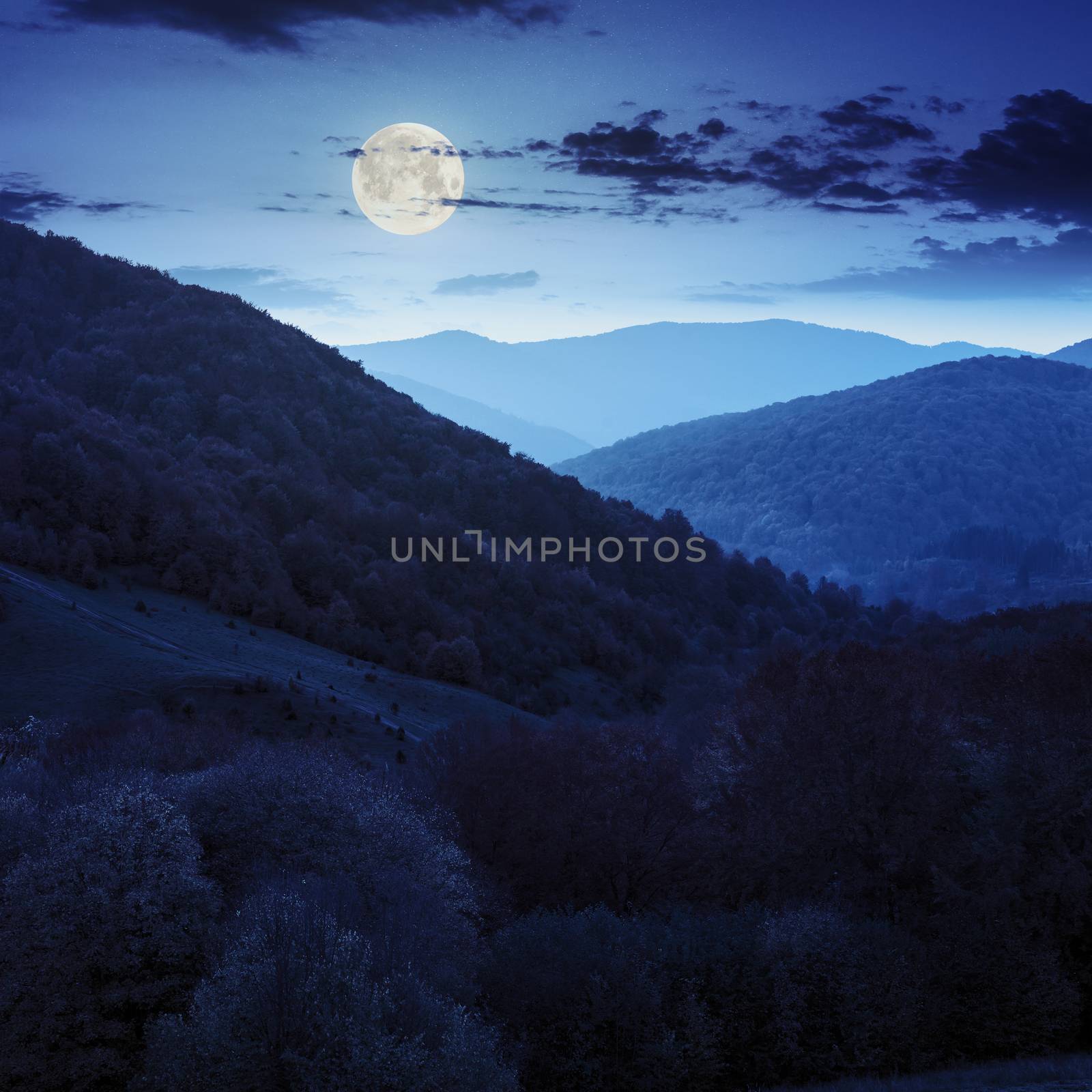 slope of mountain range with autumn forest and foliage at night in full moon light