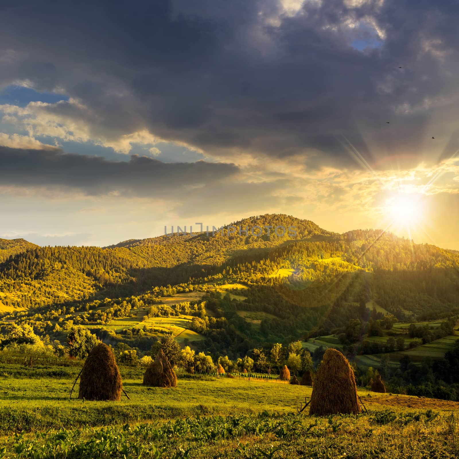 Stack of hay on a green meadow on hillside nearthe mountain village in sunset light