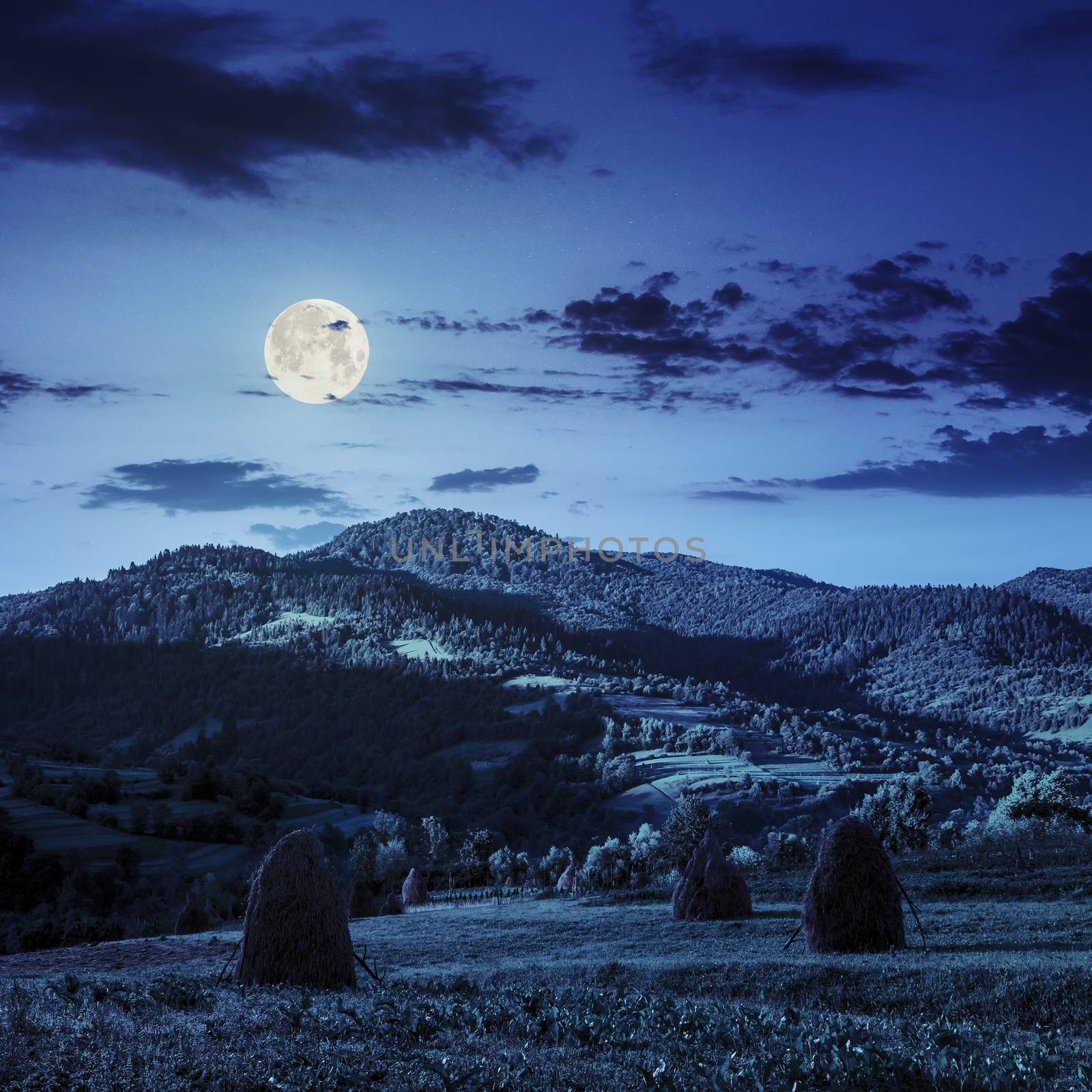 field with haystack on hillside at night by Pellinni