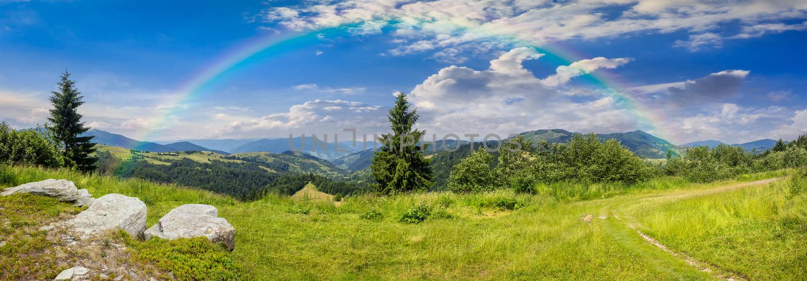 pnoramic collage  landscape. boulders on the meadow with path on the hillside and two pine trees on top of mountain with rainbow