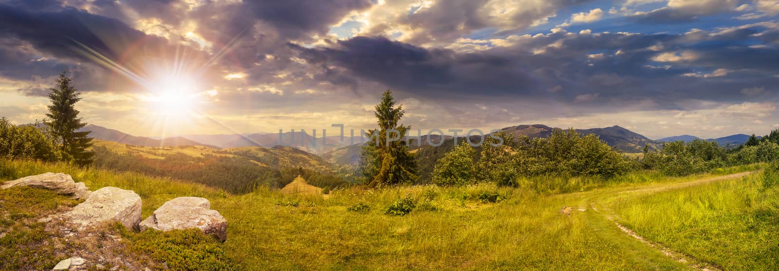 pnoramic collage  landscape. boulders on the meadow with path on the hillside and two pine trees on top of mountain range in sunset light