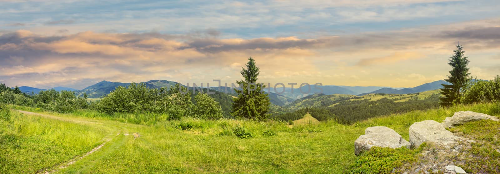 pnoramic collage  landscape. boulders on the meadow with path on the hillside and two pine trees on top of mountain range at sunrise
