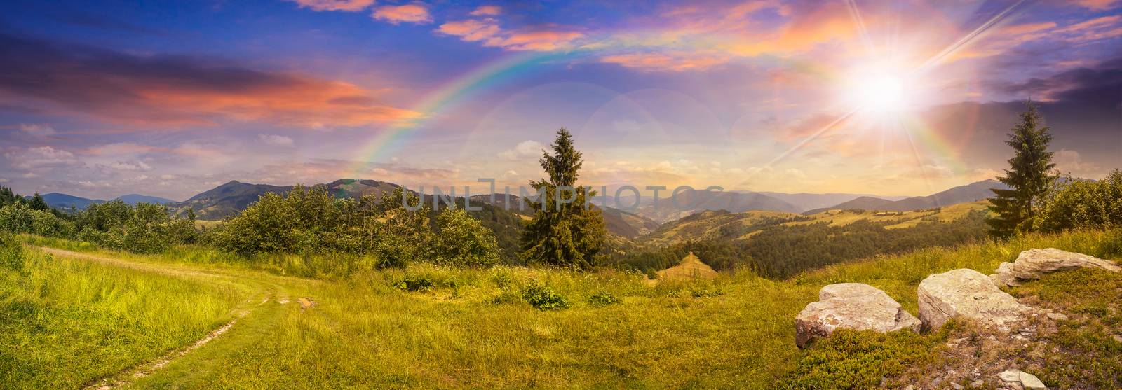 pnoramic collage  landscape. boulders on the meadow with path on the hillside and two pine trees on top of mountain range in sunset  with rainbow