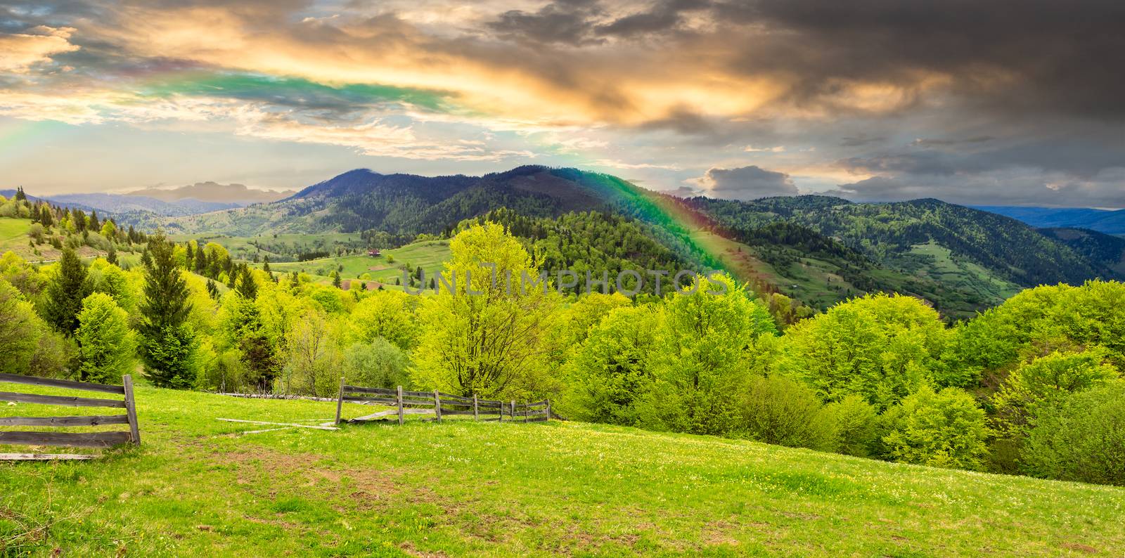 summer panorama landscape. fence near the meadow path on the hillside. forest in fog on the mountain in morning light with rainbow