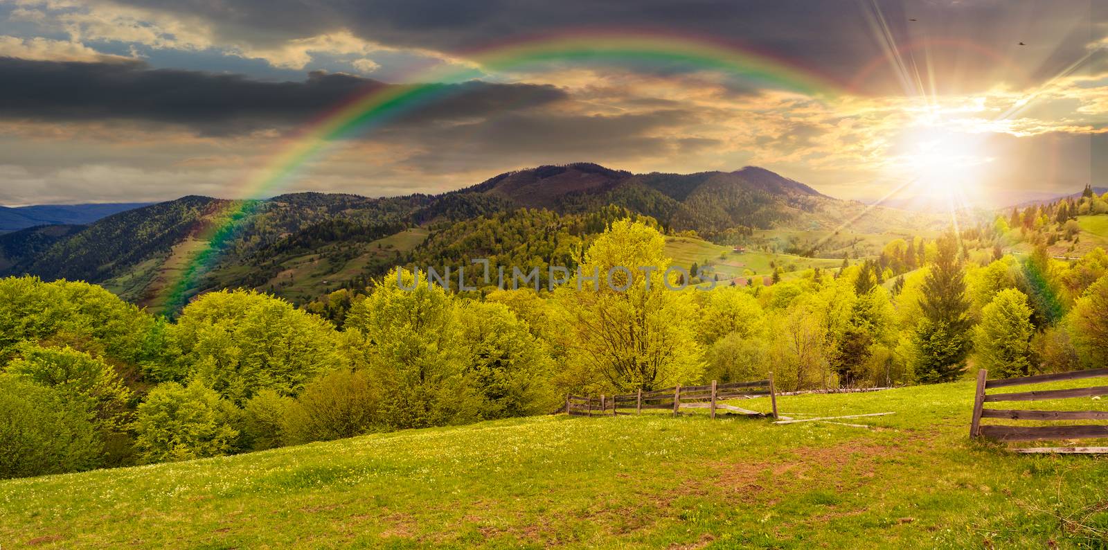 fence on hillside meadow in mountain at sunset by Pellinni