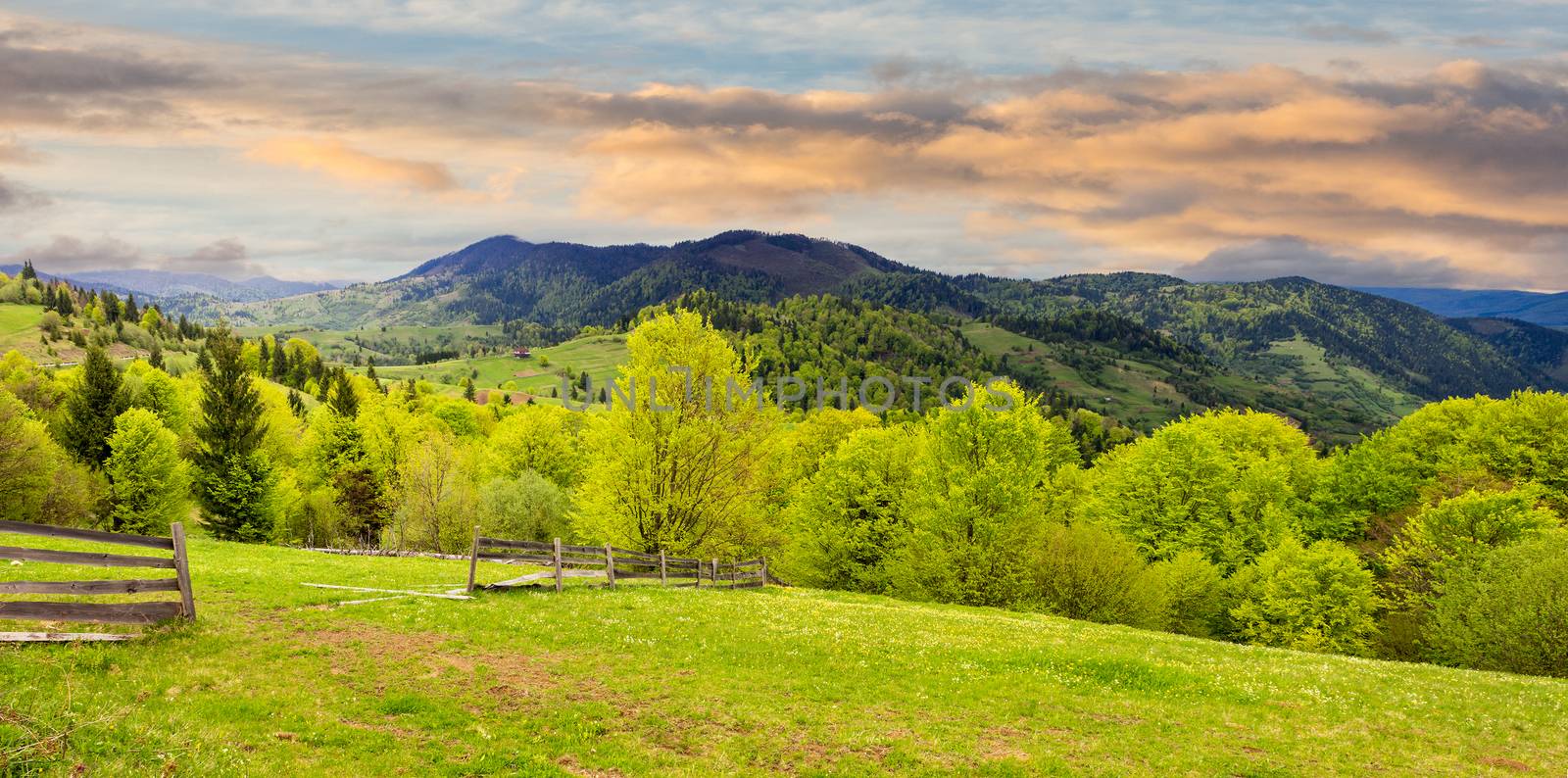 summer panorama landscape. fence near the meadow path on the hillside. forest in fog on the mountain in morning light