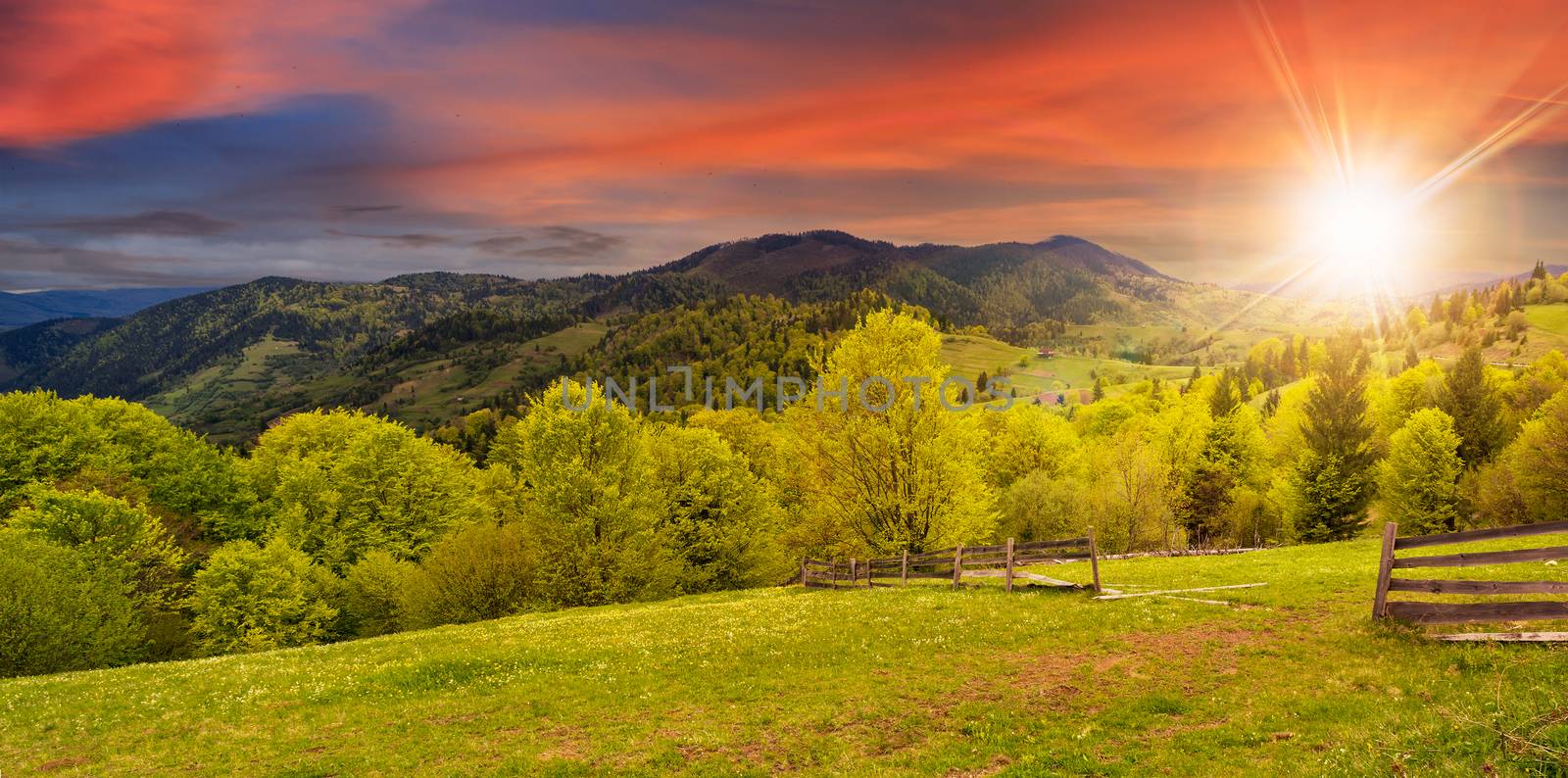 summer panorama landscape. fence near the meadow path on the hillside. forest in fog on the mountain in sunset light