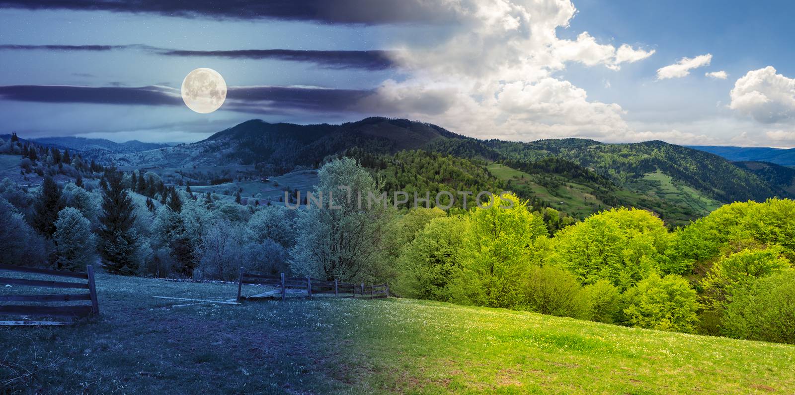 fence on hillside meadow in mountain by Pellinni