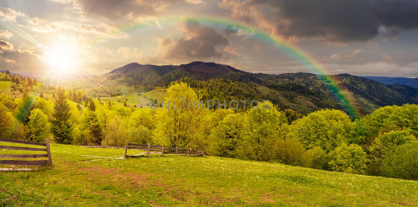 summer panorama landscape. fence near the meadow path on the hillside. forest in fog on the mountain in sunset light with rainbow