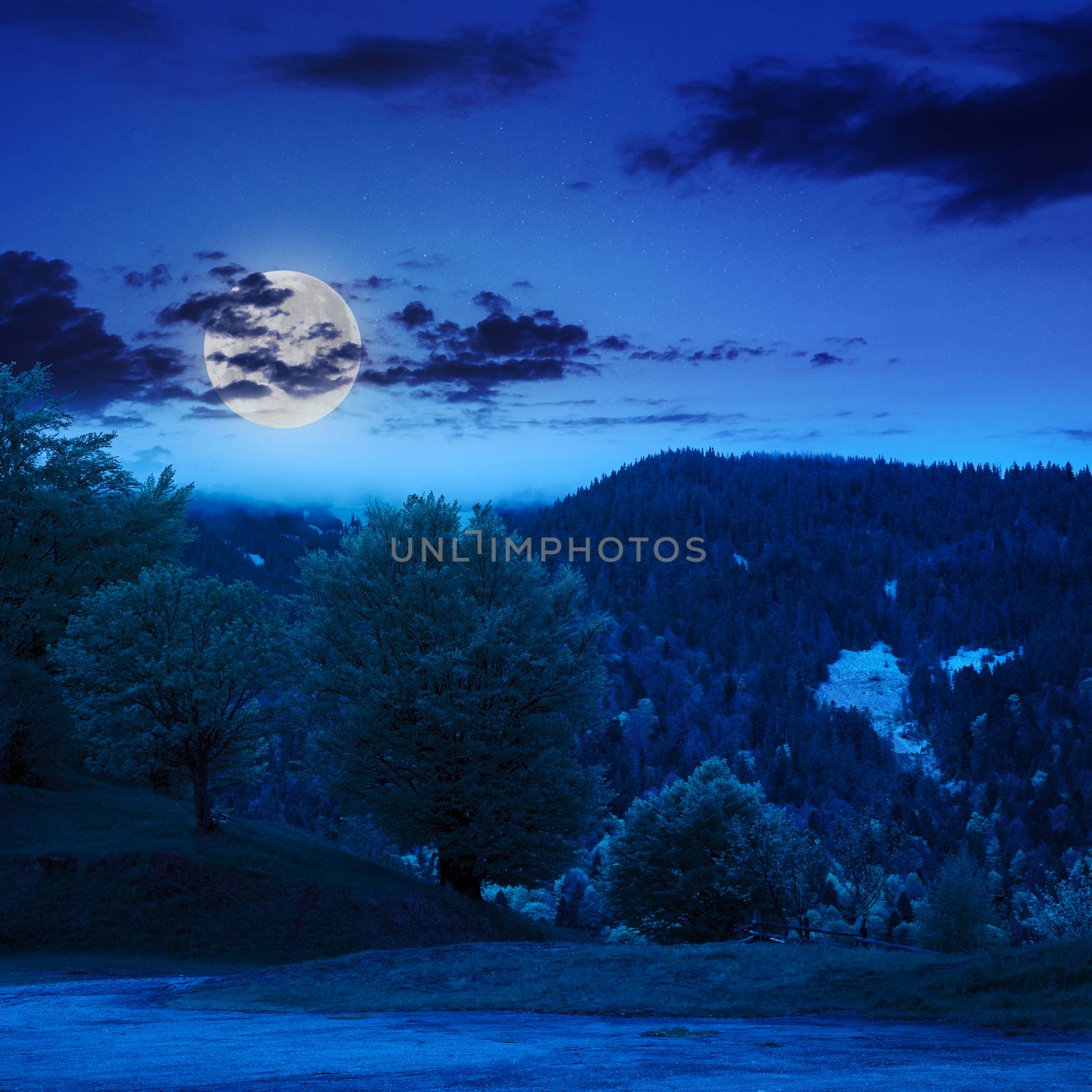 summer landscape. fence near the meadow path on the hillside with forest on the mountain at night in moon light