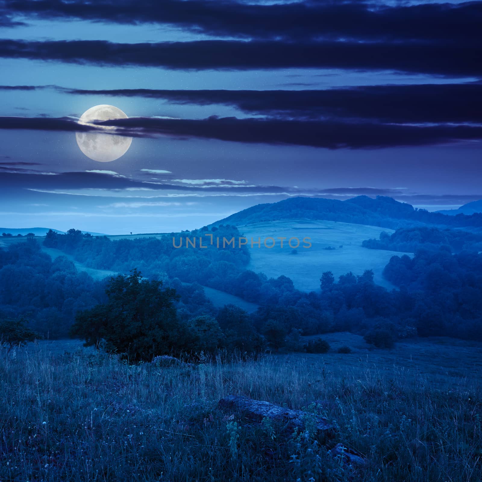 cold summer fog in mountain meadow in the morning at night in moonlight