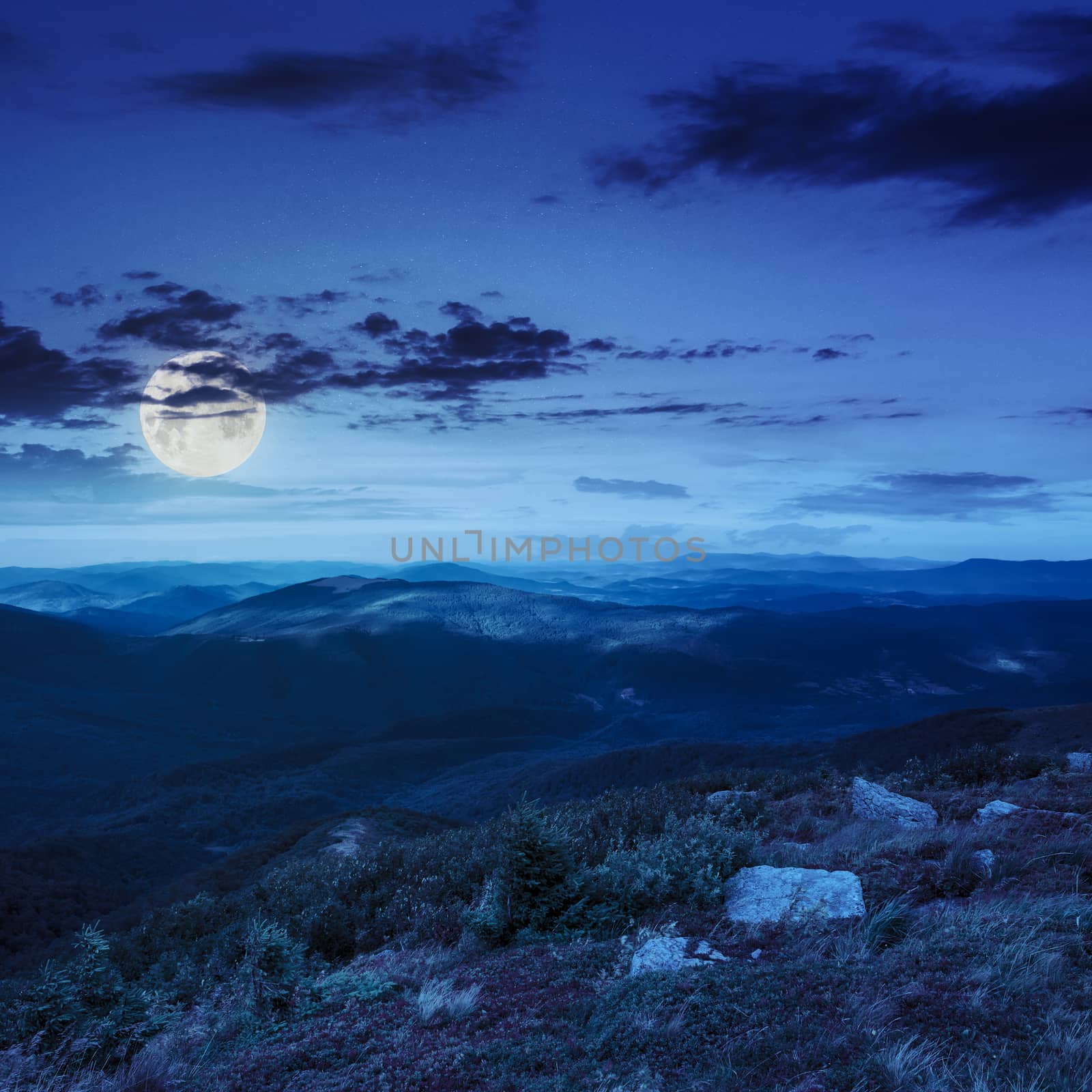 white sharp stones on the hillside at night in moon light