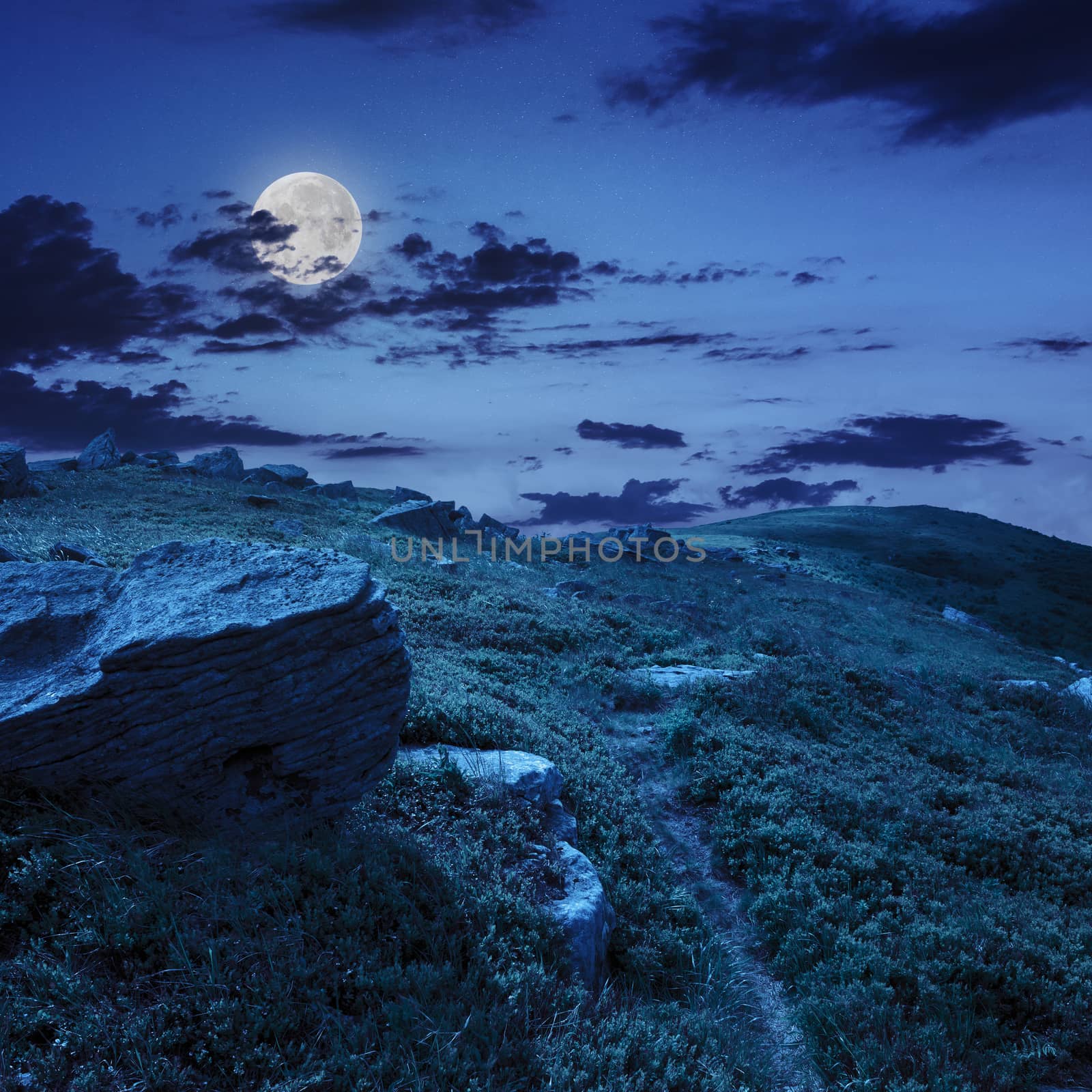 white sharp stones on the hillside at niht in moon light