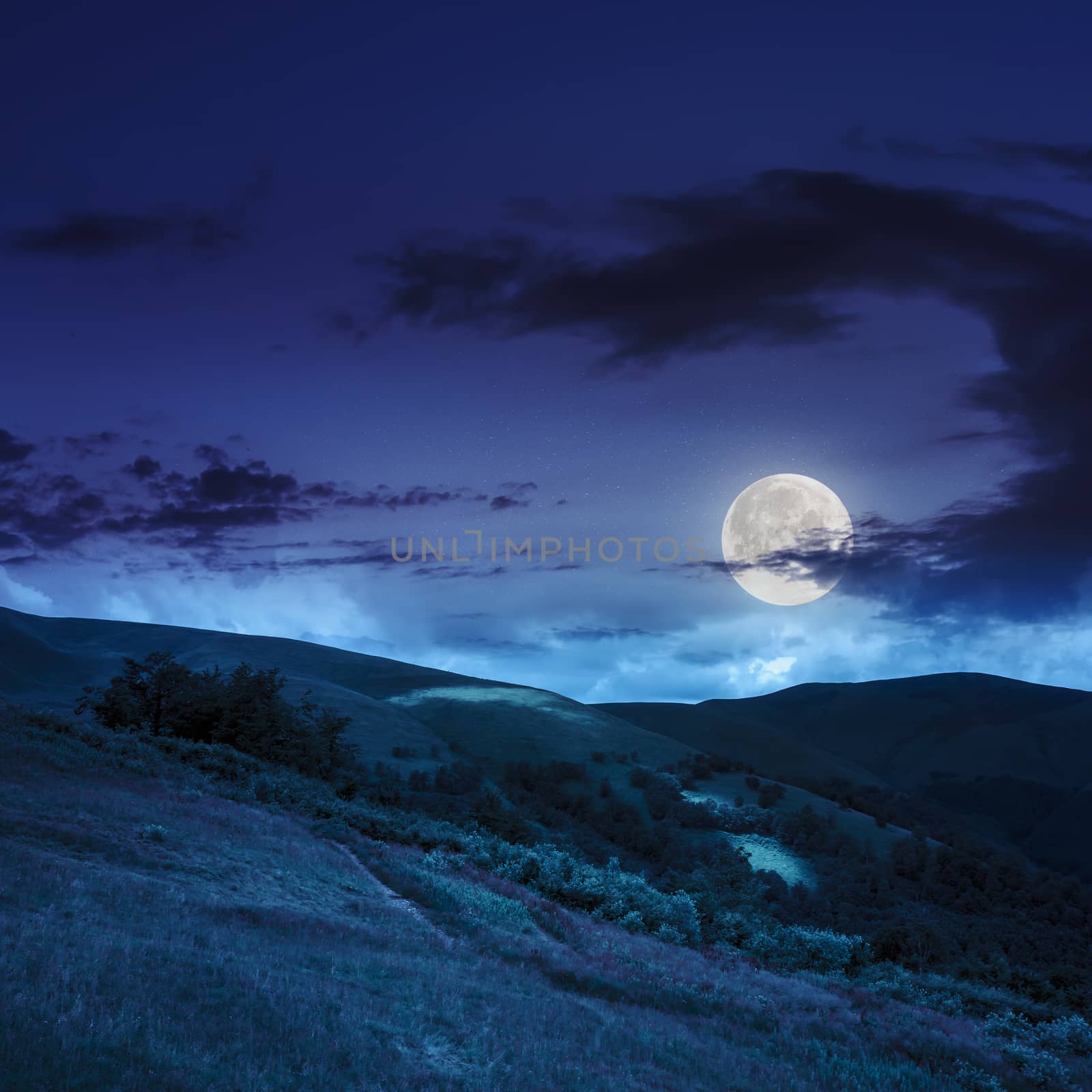 mountain summer landscape. forest  near meadow  on hillside under  sky with clouds at night in moon light