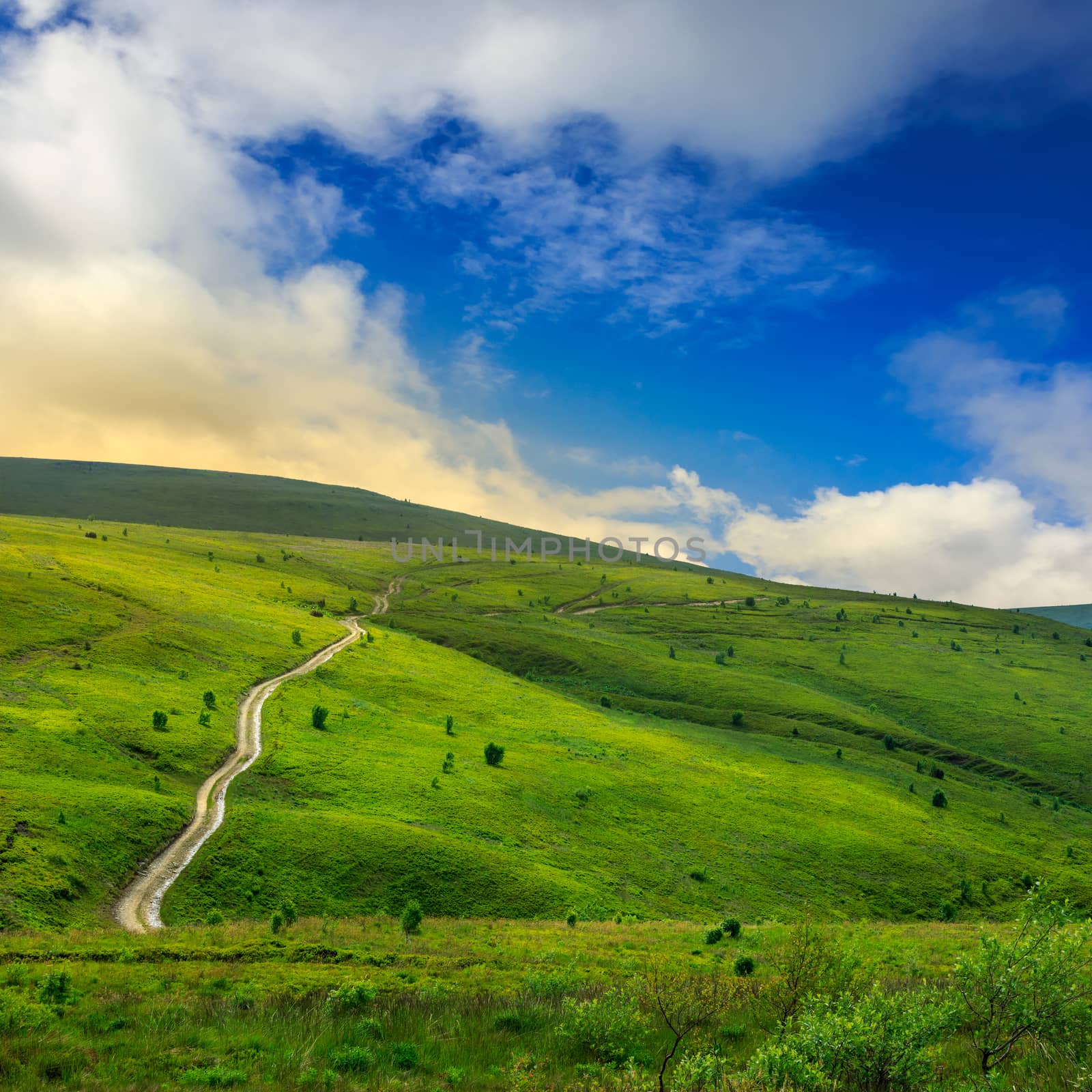 road through a meadow on the hillside by Pellinni