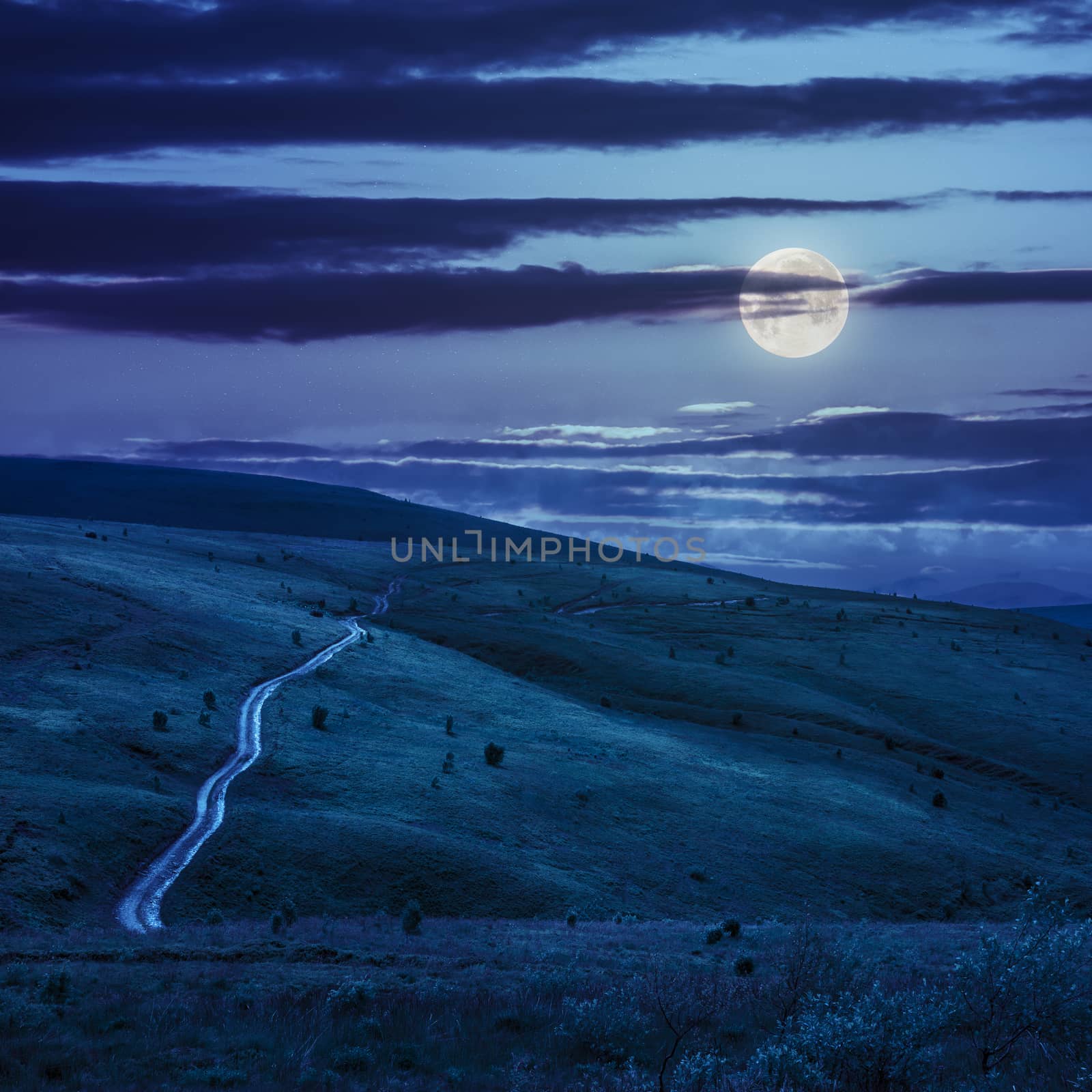 winding road through a large meadow on the hillside with some trees at night in moon light