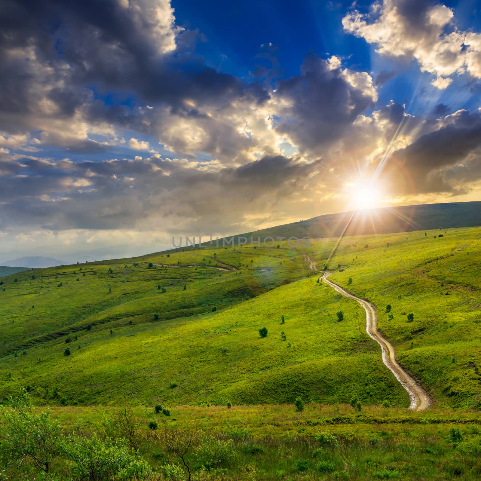 winding road through a large meadow on the hillside with some trees at sunset