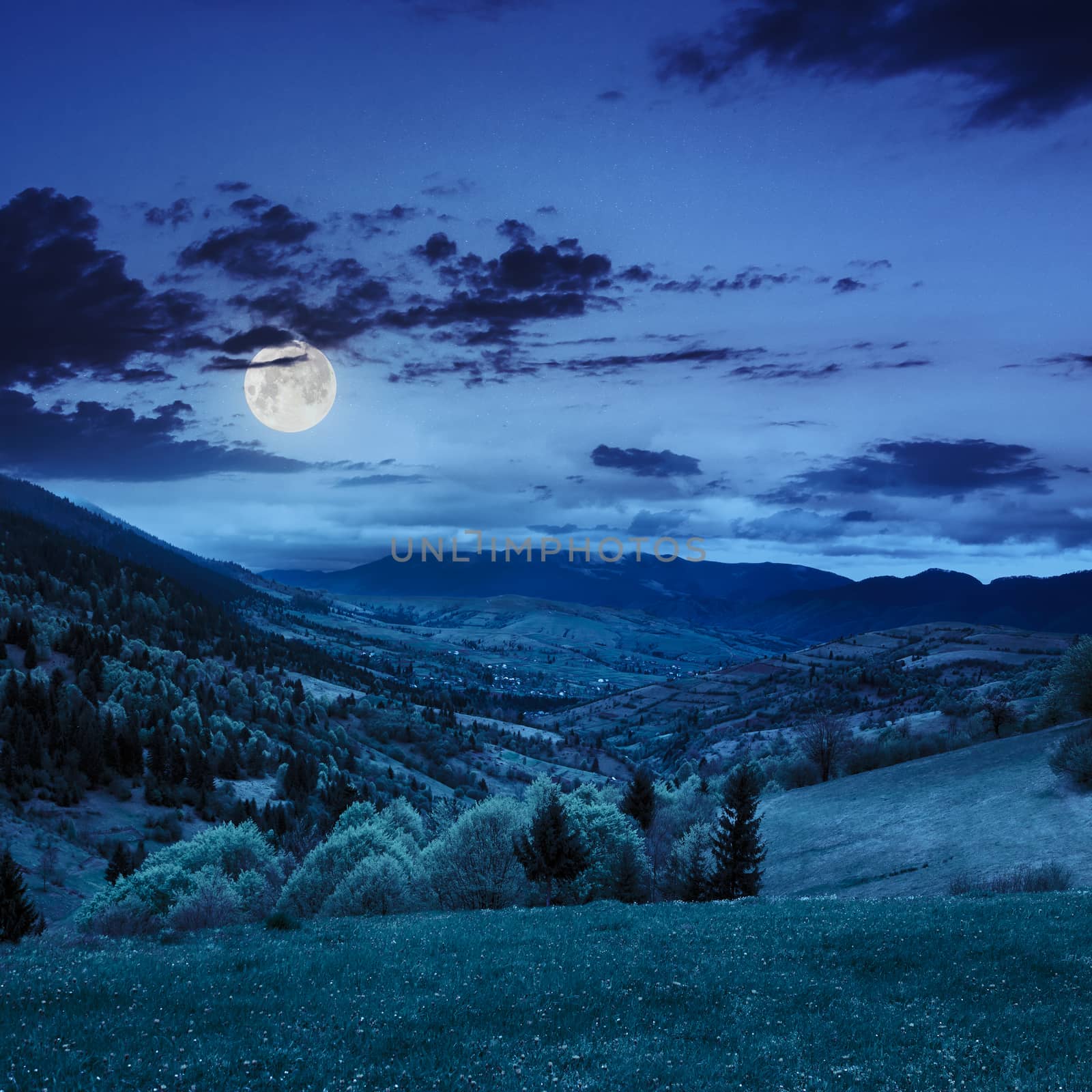 mountain summer landscape. trees near meadow and forest on hillside under  sky with clouds  at night in moon light