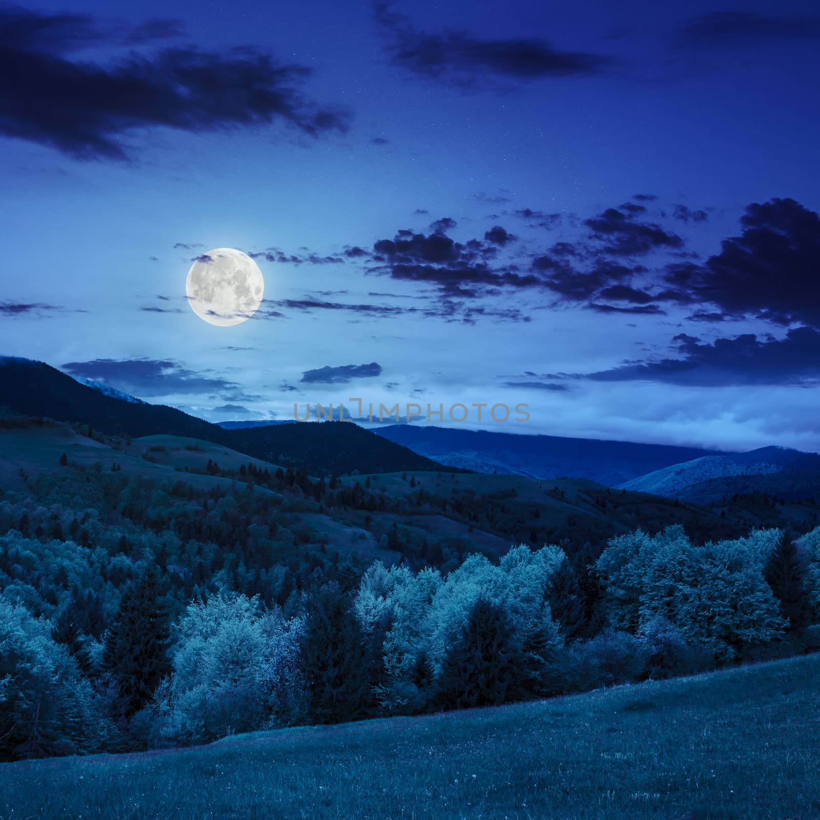 trees near valley in mountains  at night by Pellinni