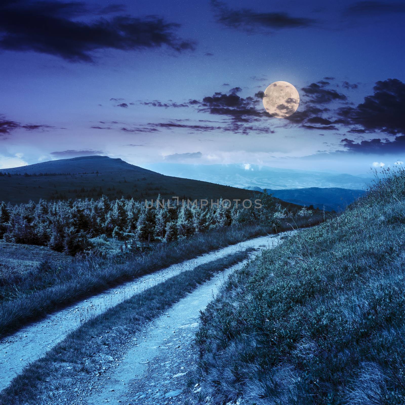 summer Landscape with road on a hillside and conifer forest  near mountain peak at night in full moon light