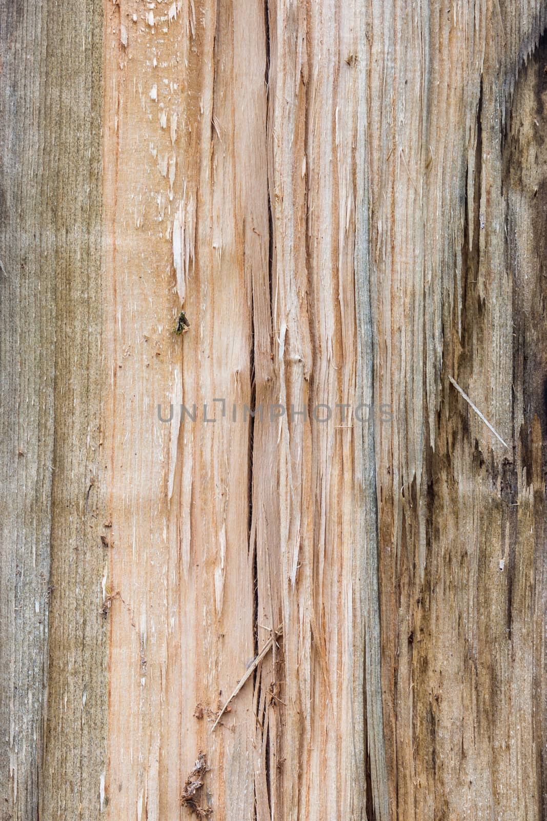 Barn Wood Cargo Crate  cracked and knotty wood texture