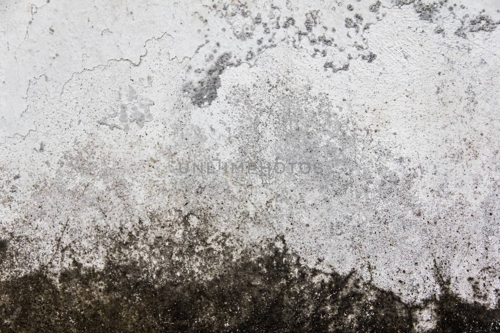 Old  plaster on the wall. Grunge concrete texture. Retro texture. Distress Texture.