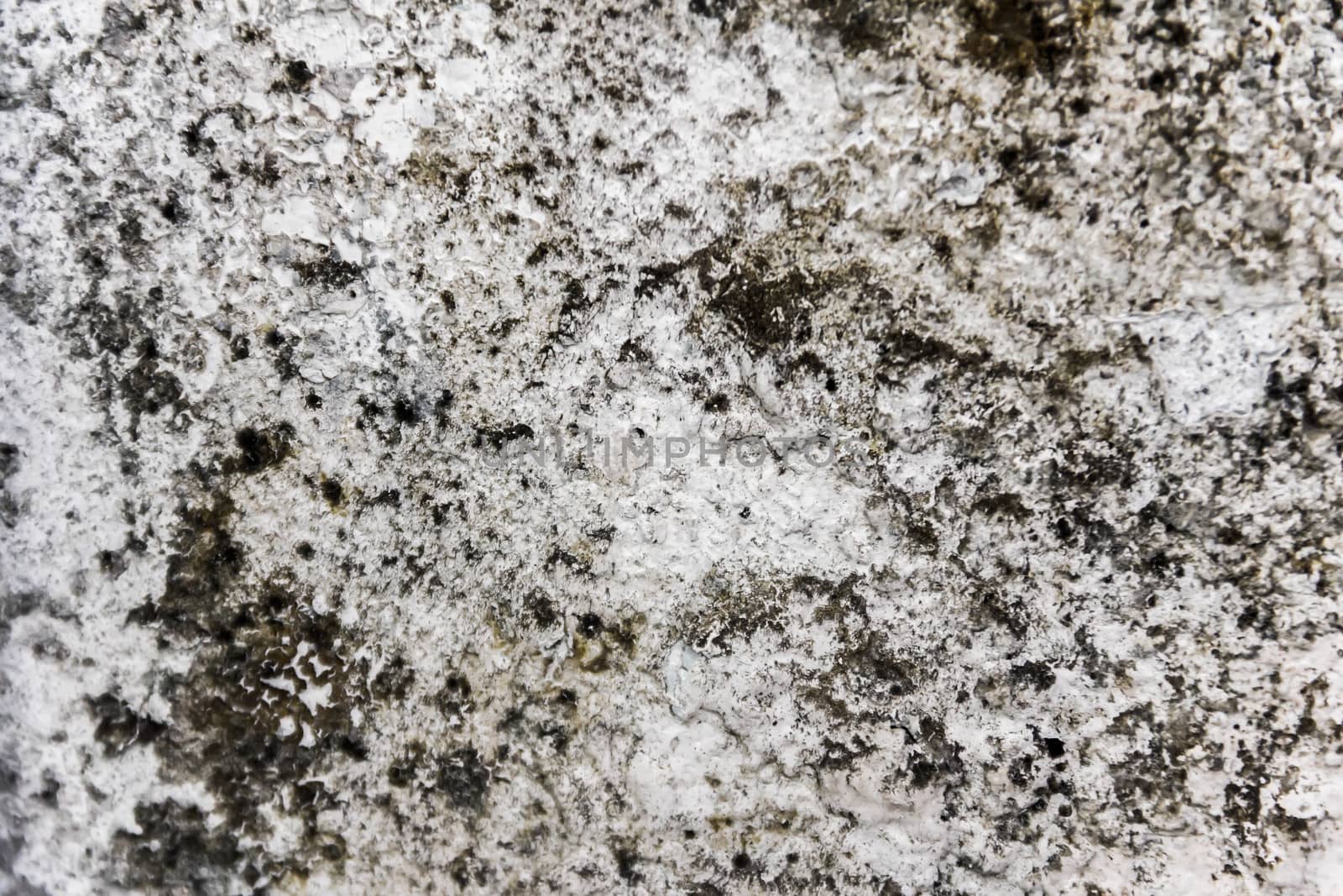 Old  plaster on the wall. Grunge concrete texture. Retro texture. Distress Texture.