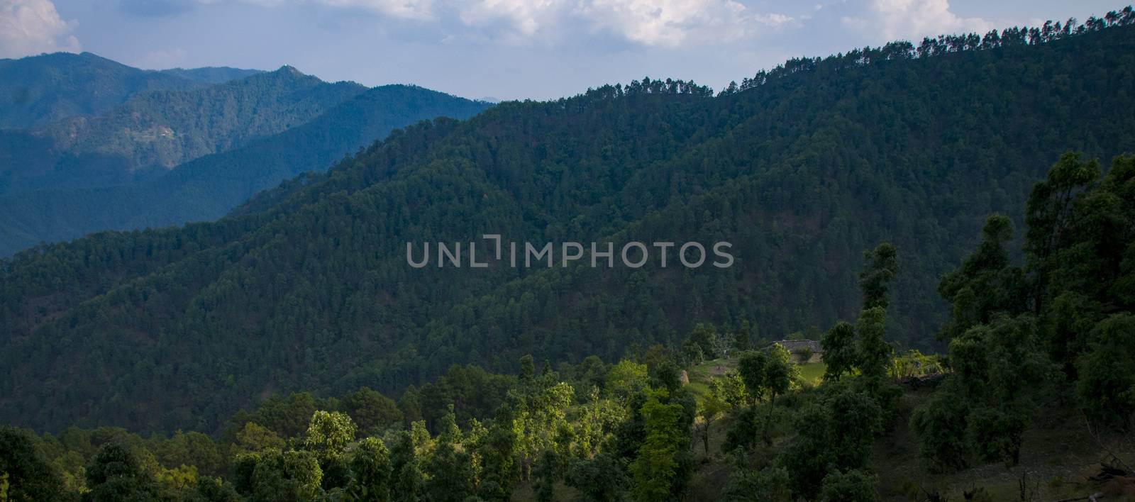 Almora mountains by Teelahview