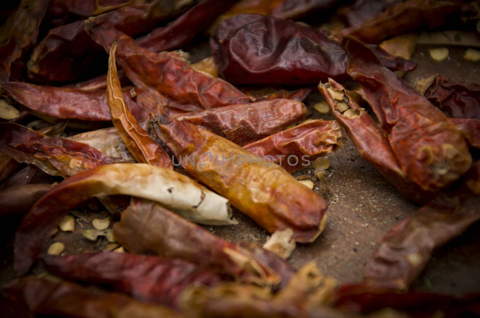 Chilies drying in the sun