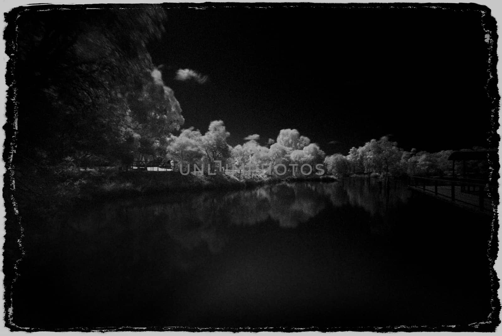Reflections on the water shot in Infrared